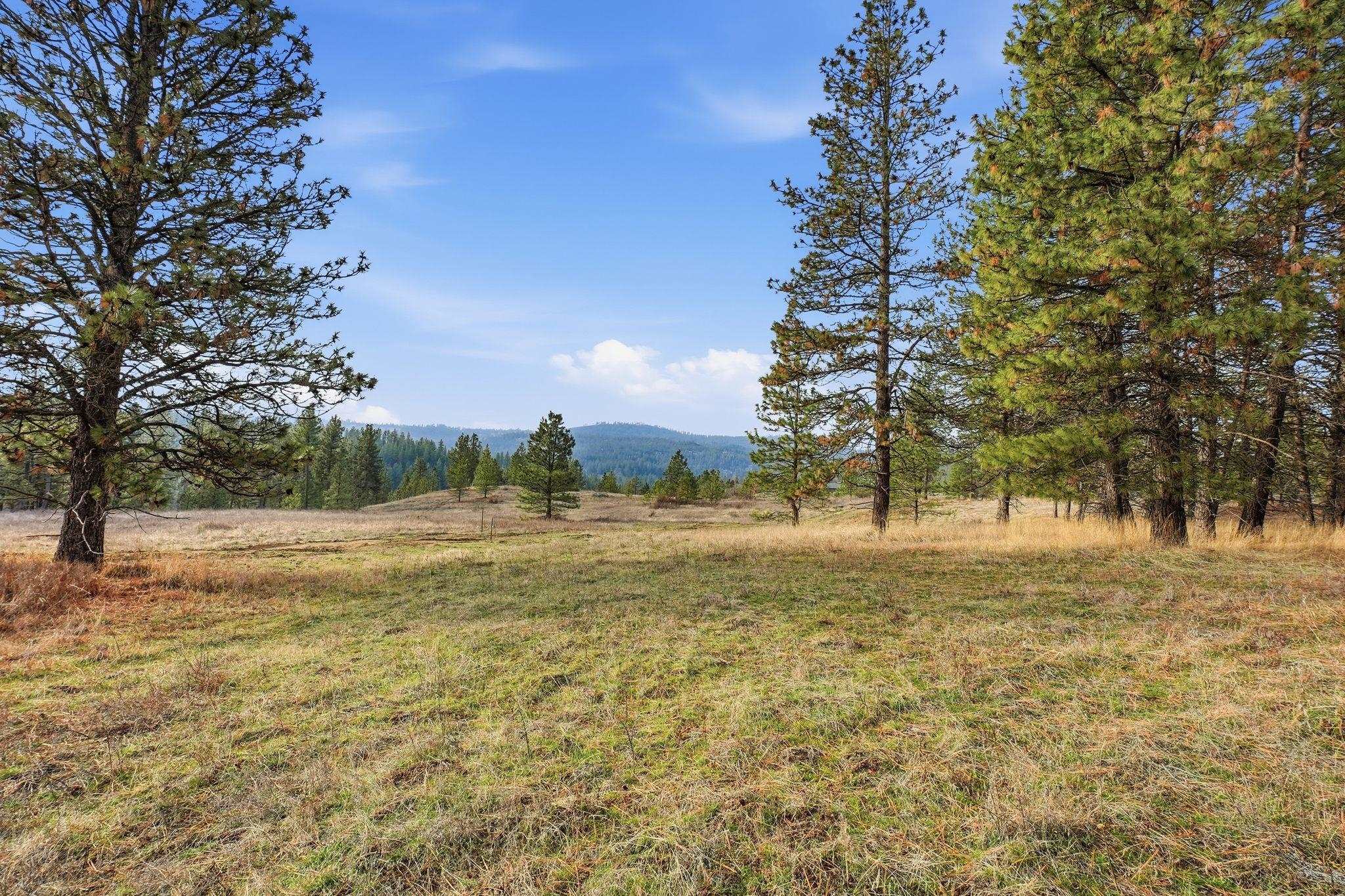 3086 E Balsam Hill Ln - Photo 11