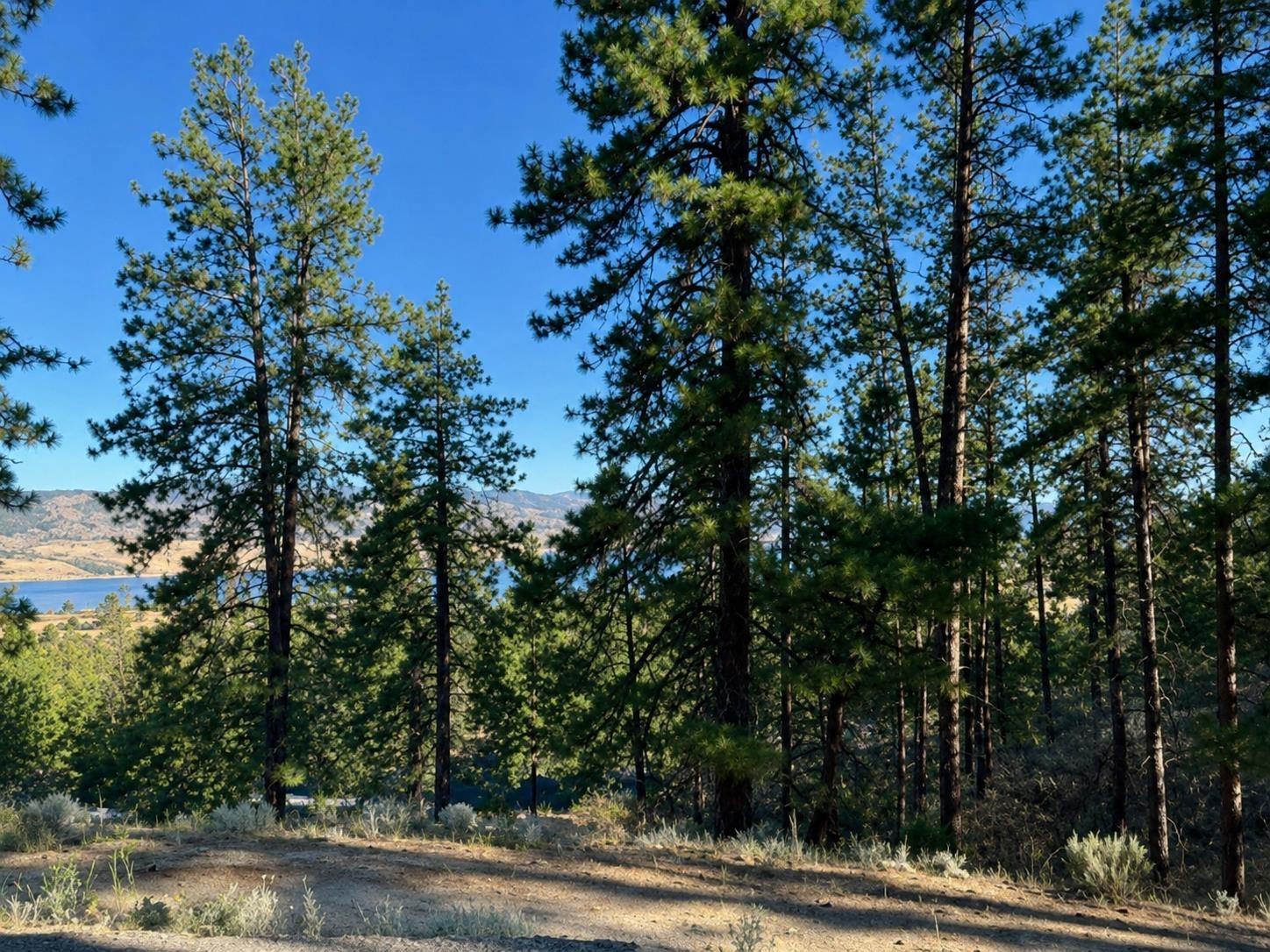 510 Hunt Ln - Photo 1