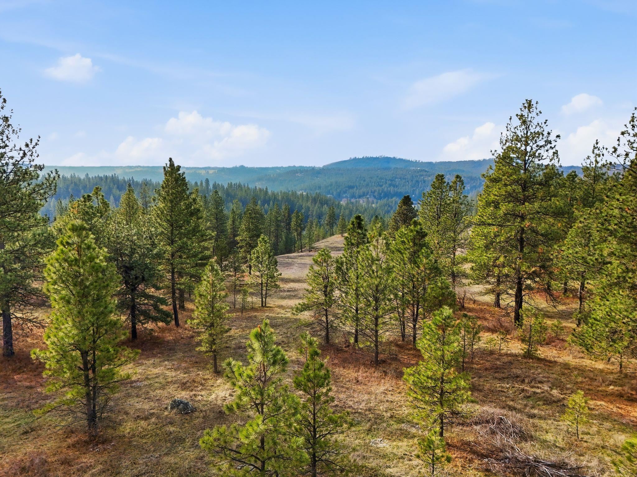 3344 E Balsam Hill Ln - Photo 8