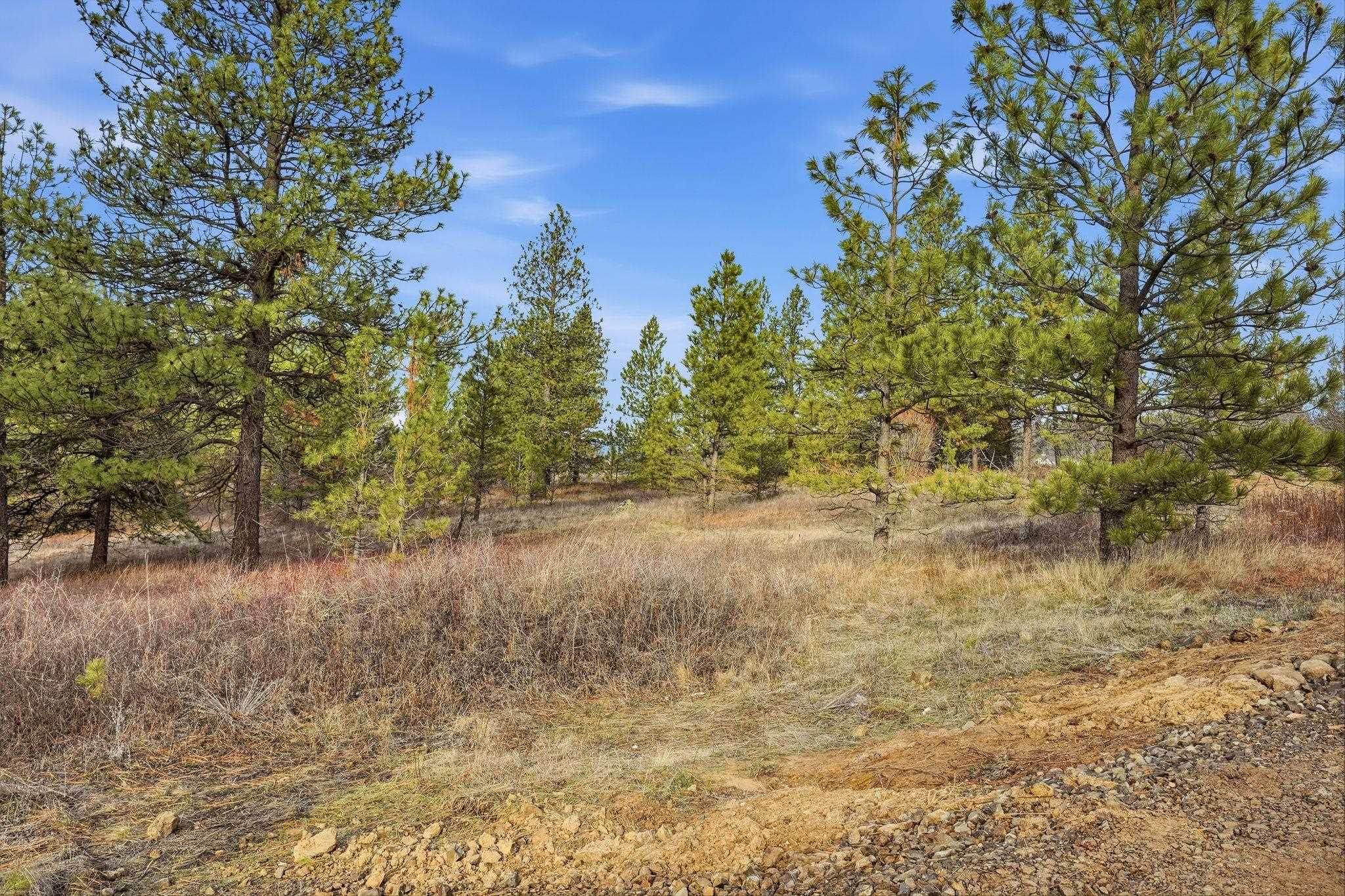 3344 E Balsam Hill Ln - Photo 11