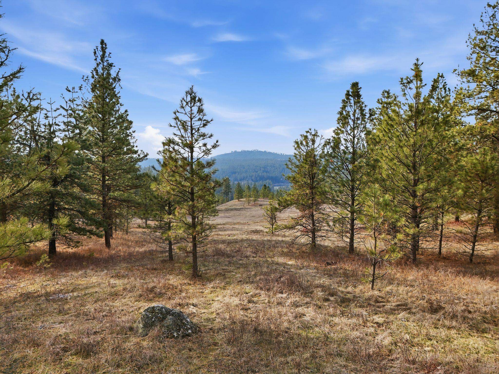 3344 E Balsam Hill Ln - Photo 13