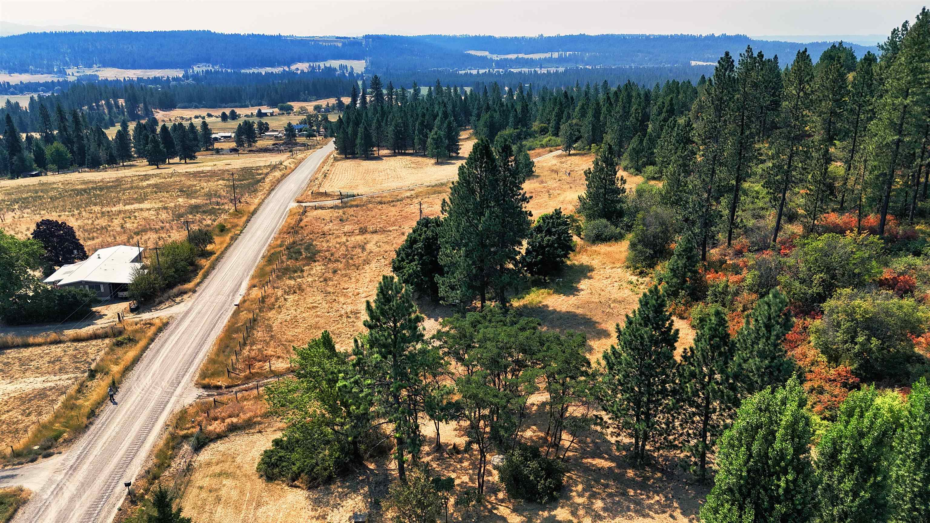 29411 N Dunn Rd - Photo 7