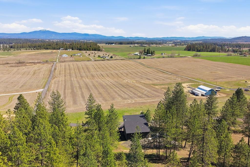 26435 N Spotted Rd - Photo 6