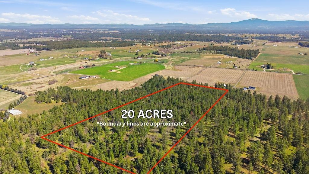 26435 N Spotted Rd - Photo 48