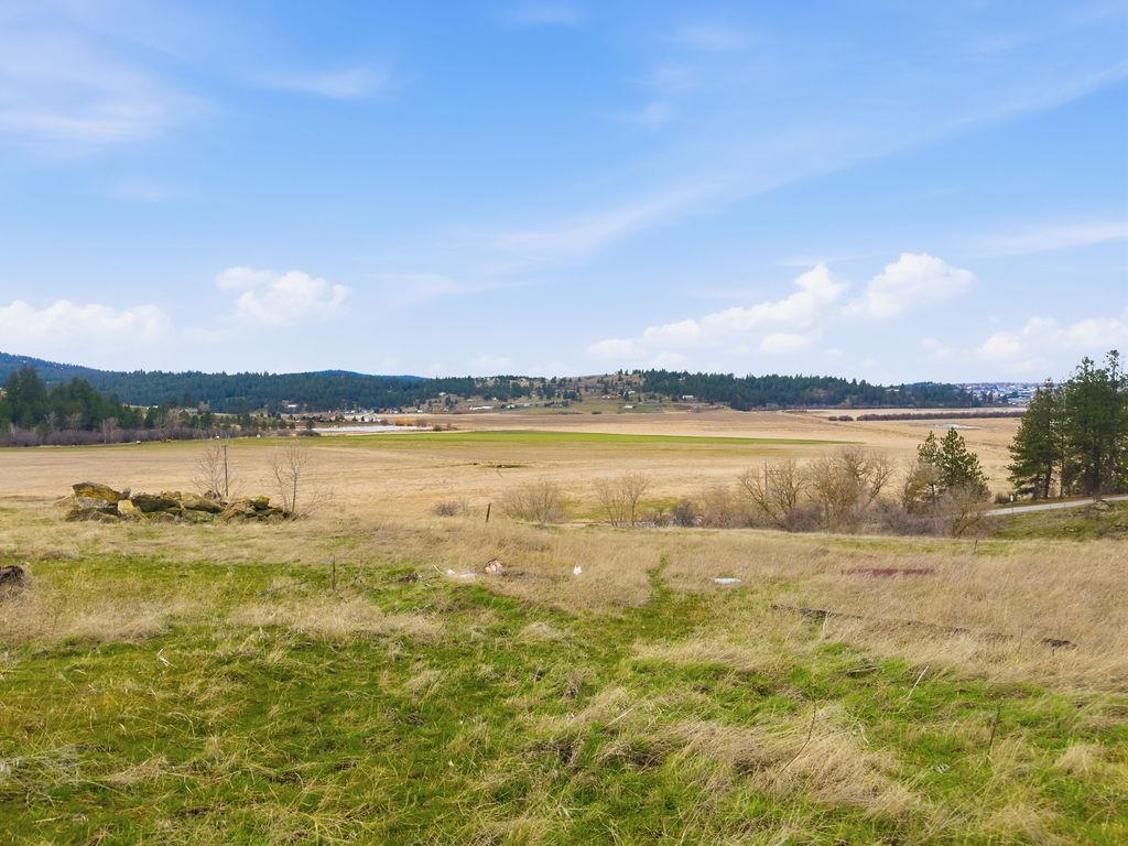 4111 S Henry Rd - Photo 5