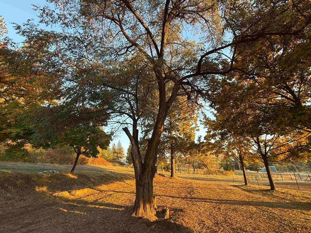 29411 N Dunn Rd - Photo 8