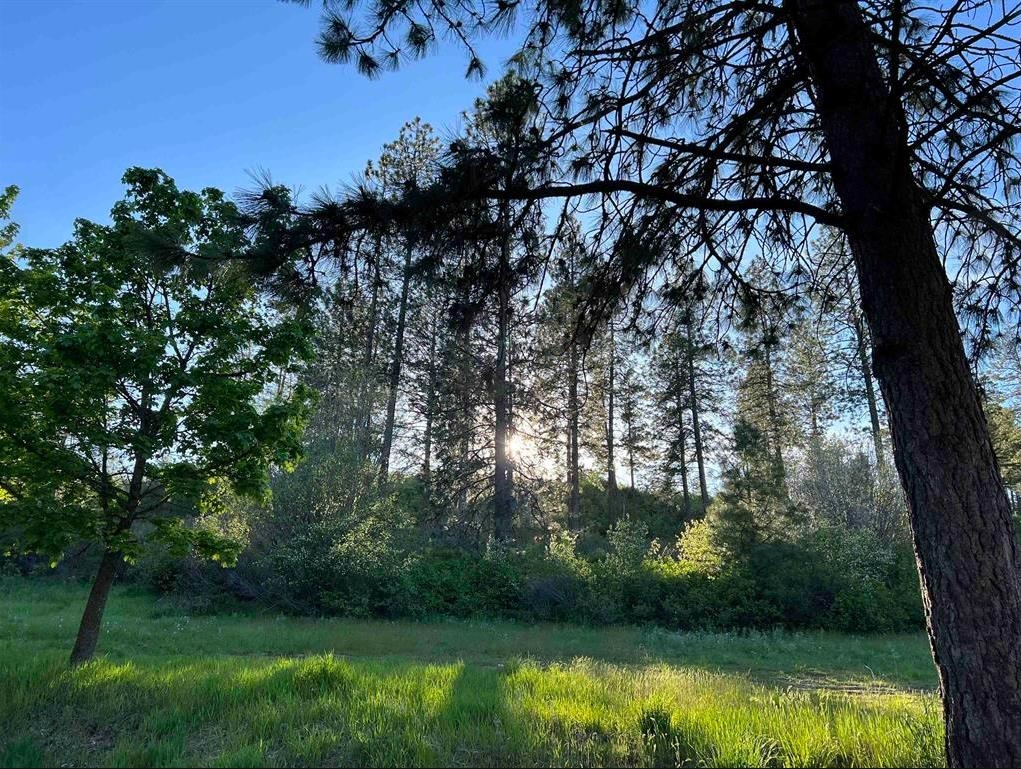 29411 N Dunn Rd - Photo 12