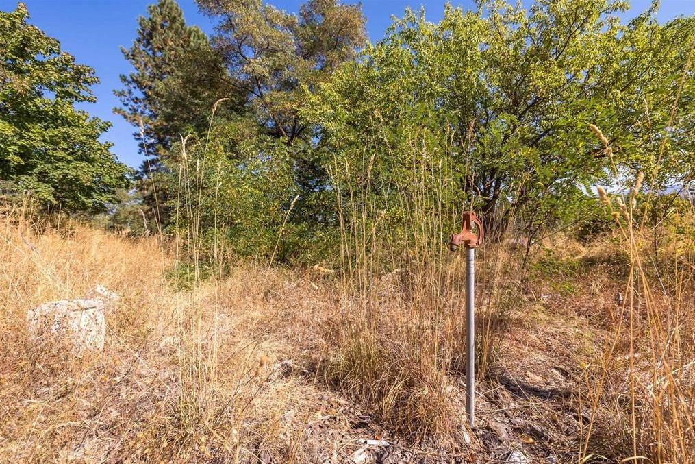 29411 N Dunn Rd - Photo 14