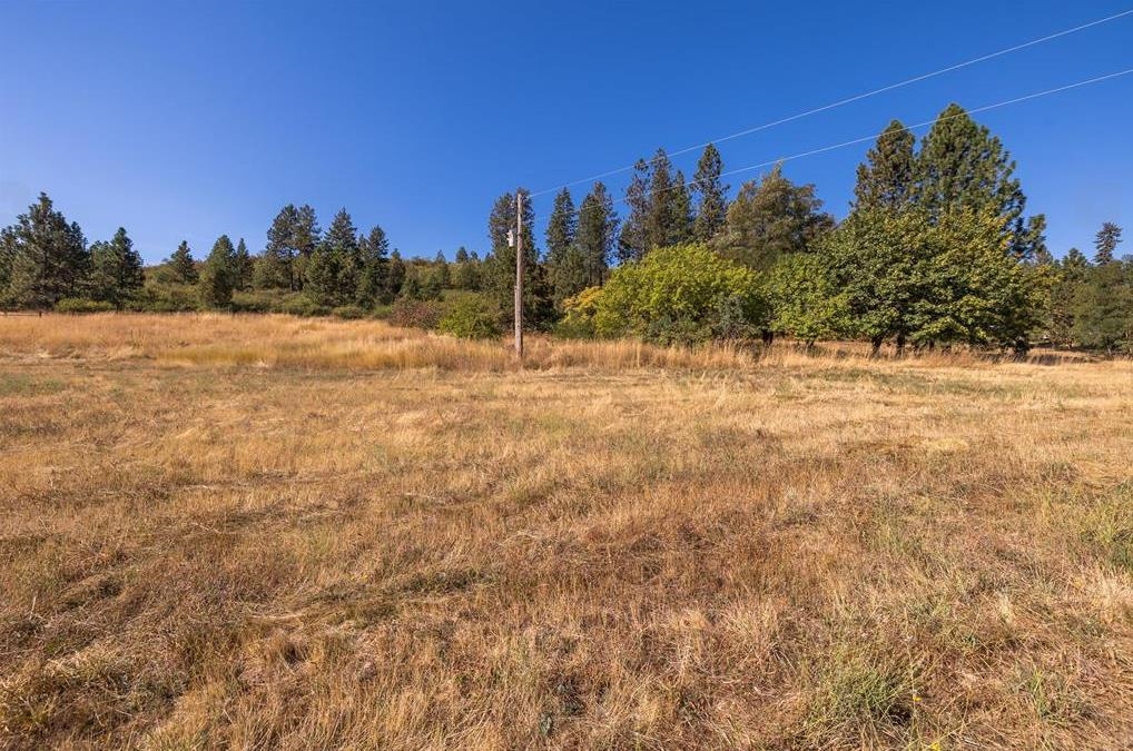 29411 N Dunn Rd - Photo 17