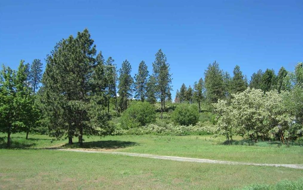 29411 N Dunn Rd - Photo 2