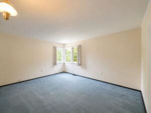 103 BUENA VISTA Dr - Photo 12
