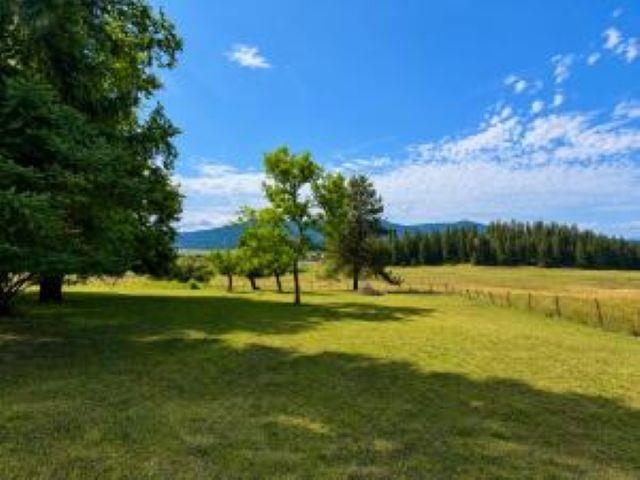 103 BUENA VISTA Dr - Photo 33