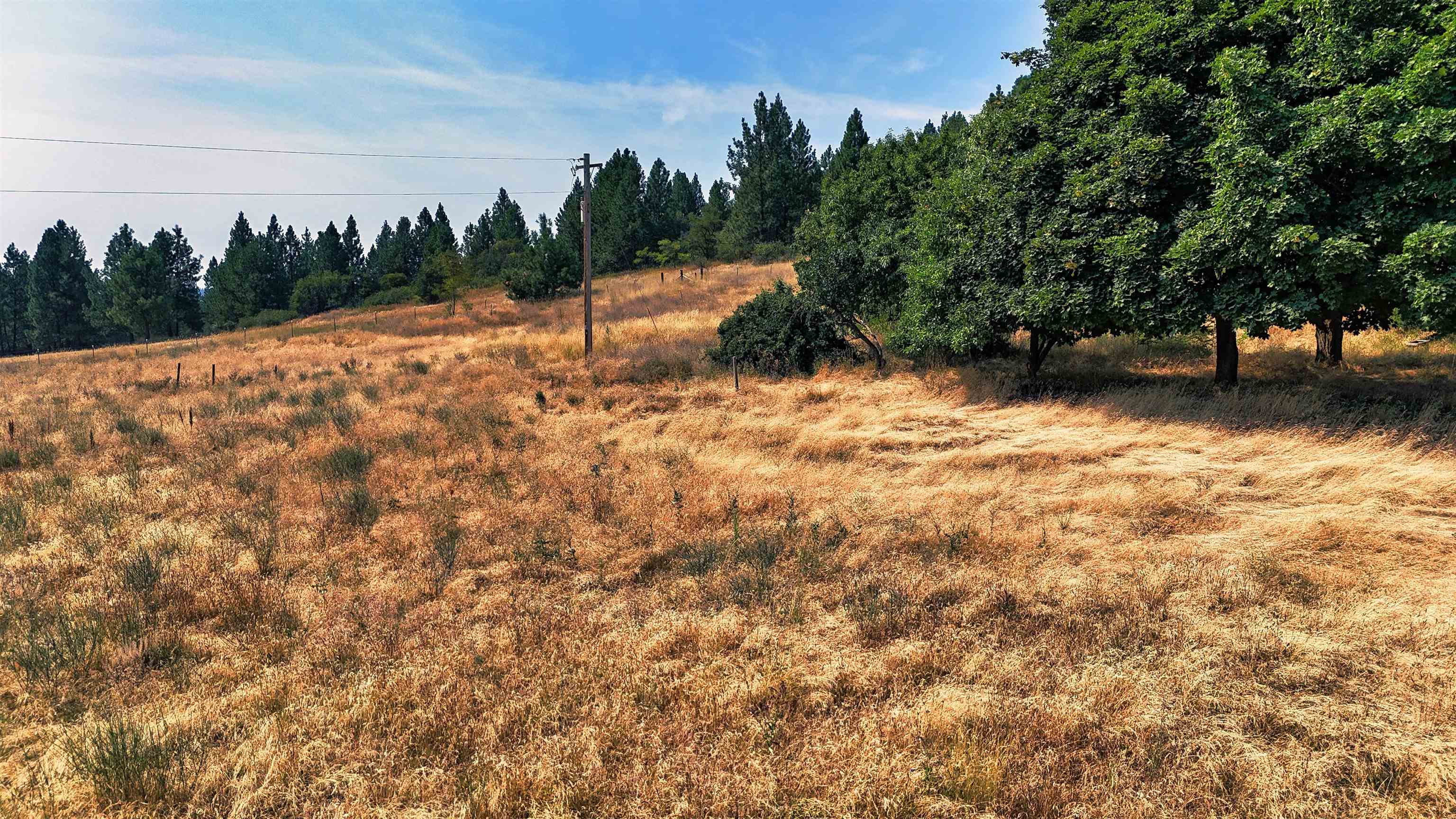 29411 N Dunn Rd - Photo 20