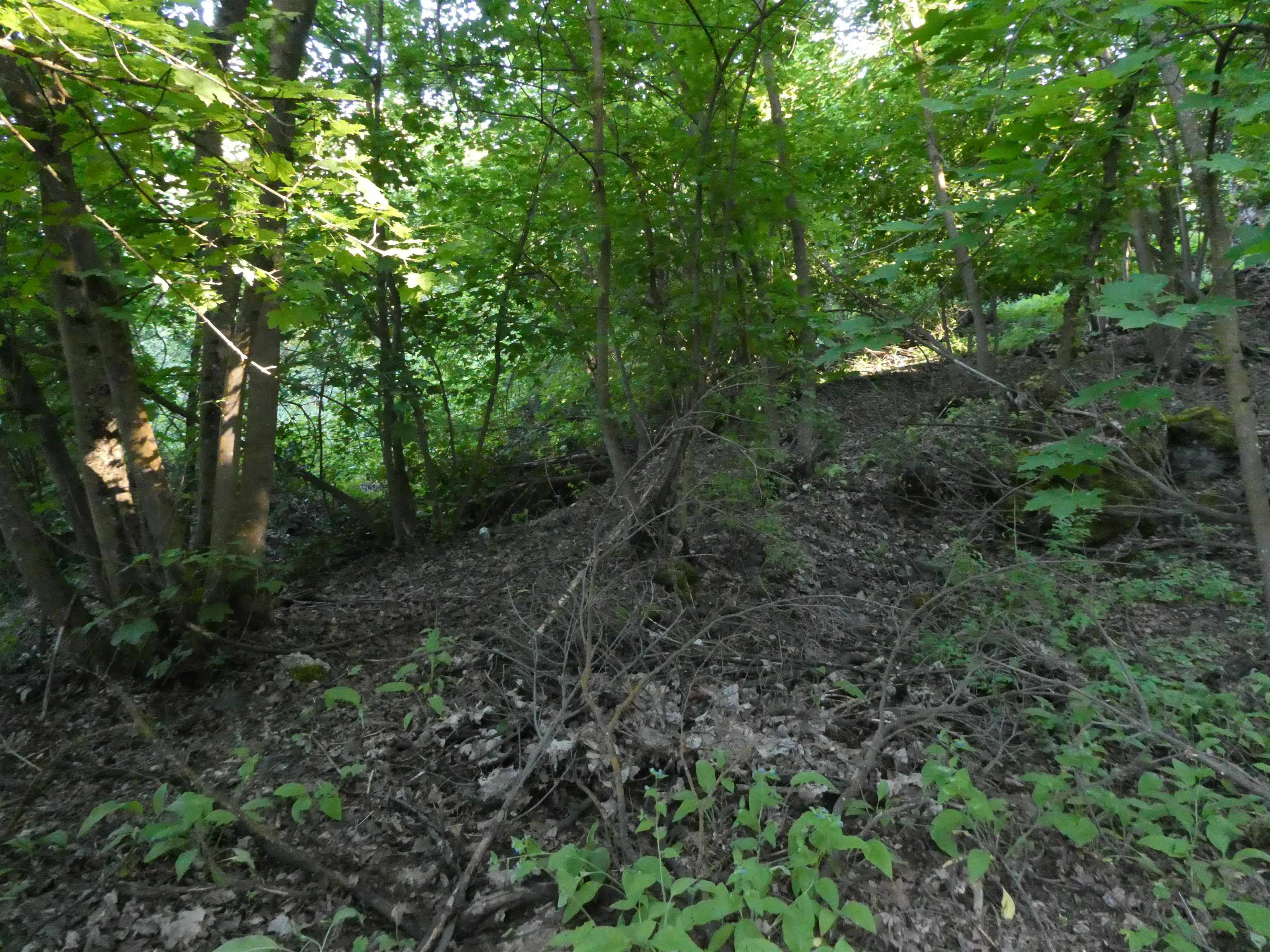 300 E Rockwood Blvd - Photo 2