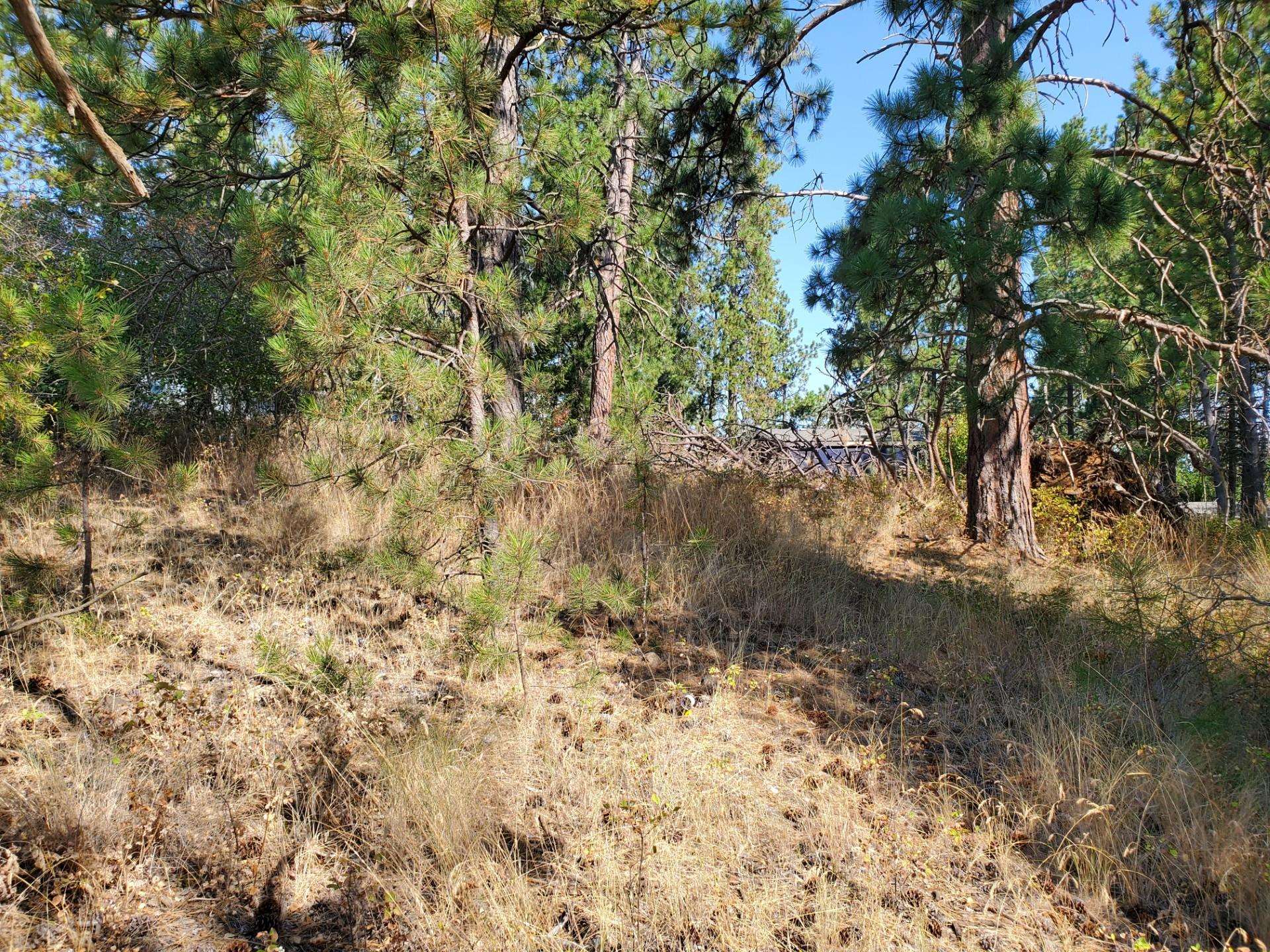 NKA Old School Rd - Photo 6