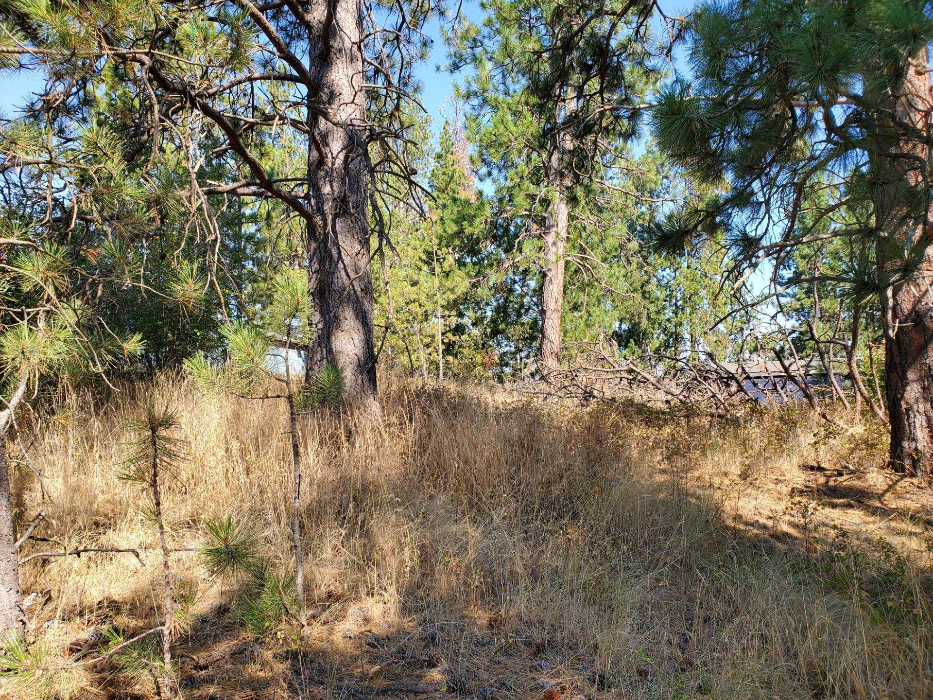 NKA Old School Rd - Photo 7