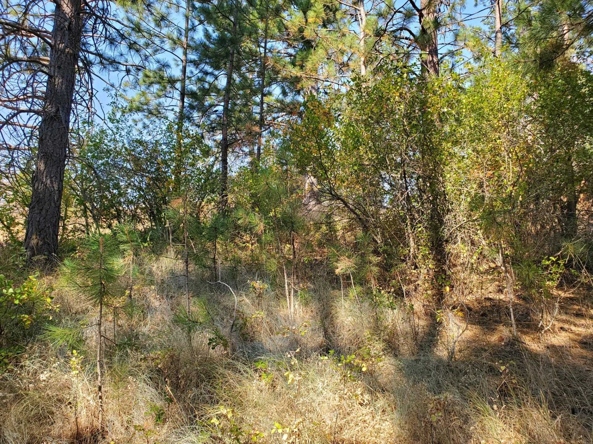 NKA Old School Rd - Photo 17