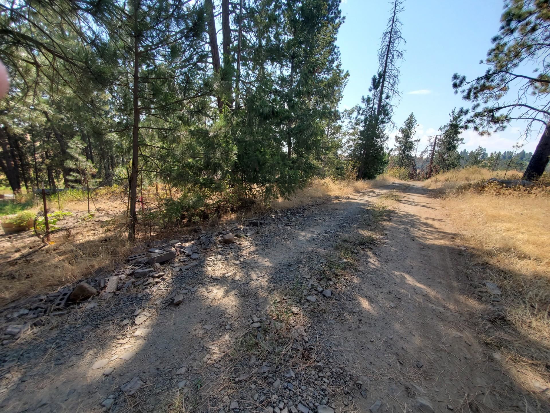 NKA Old School Rd - Photo 5