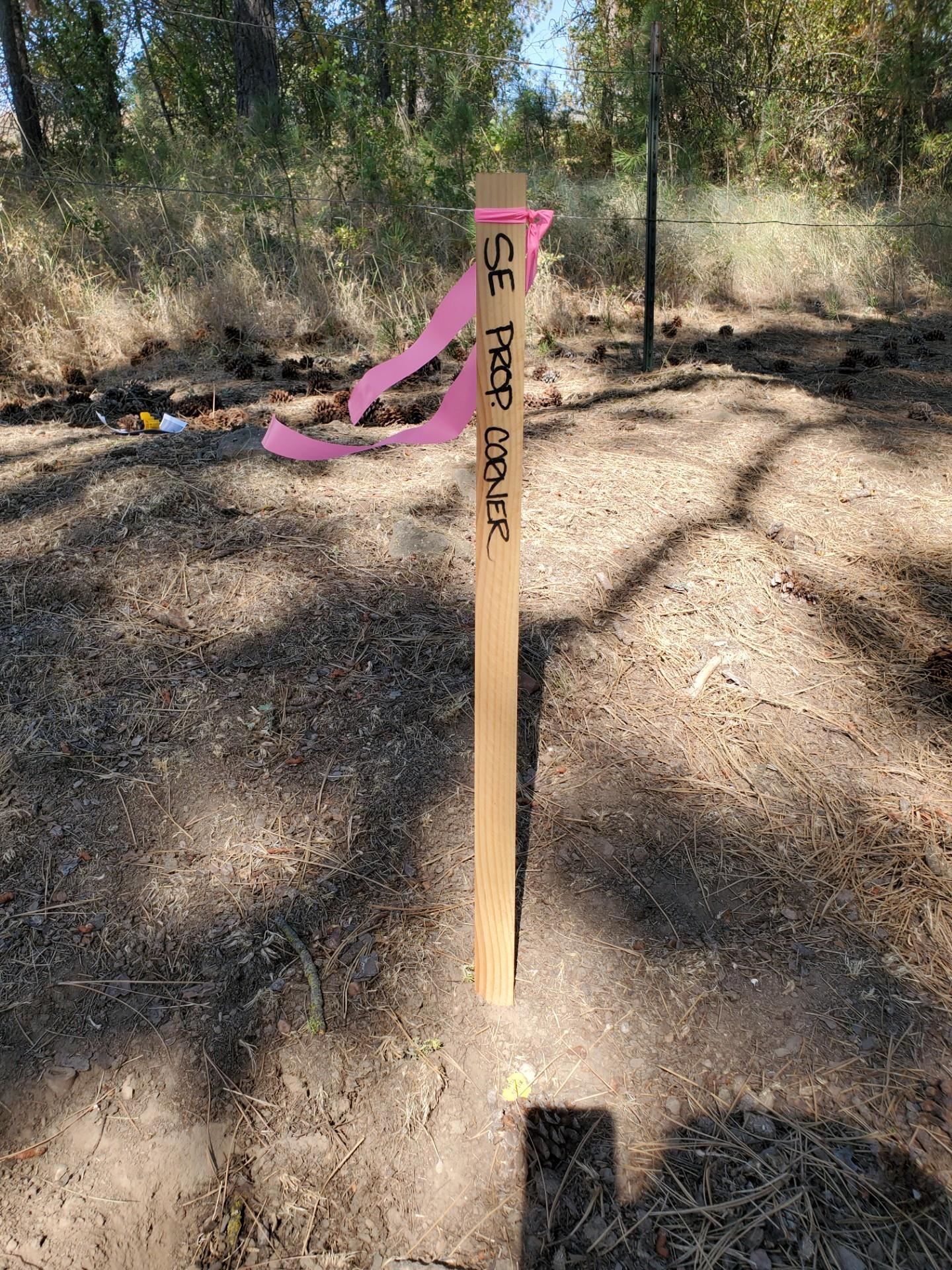 NKA Old School Rd - Photo 15
