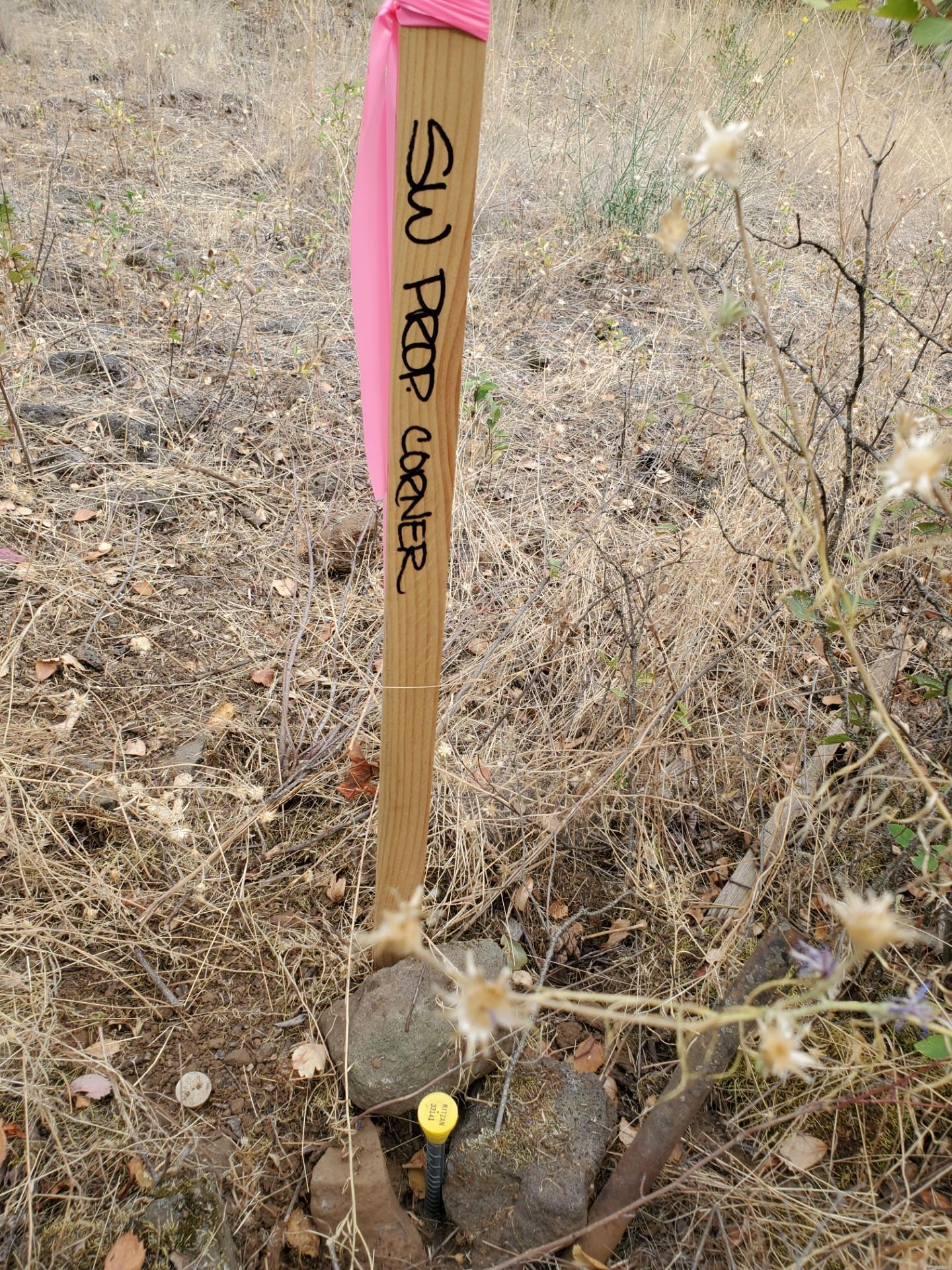 NKA Old School Rd - Photo 9