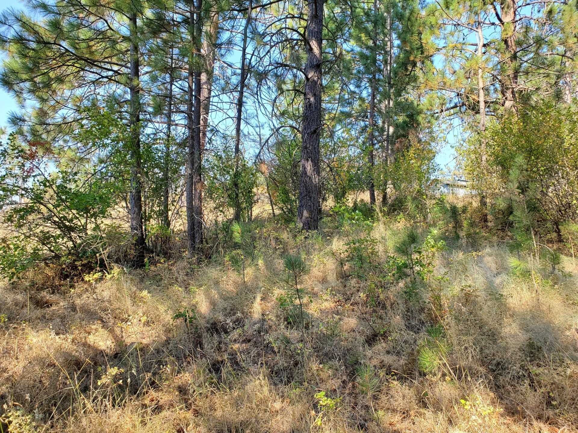NKA Old School Rd - Photo 19
