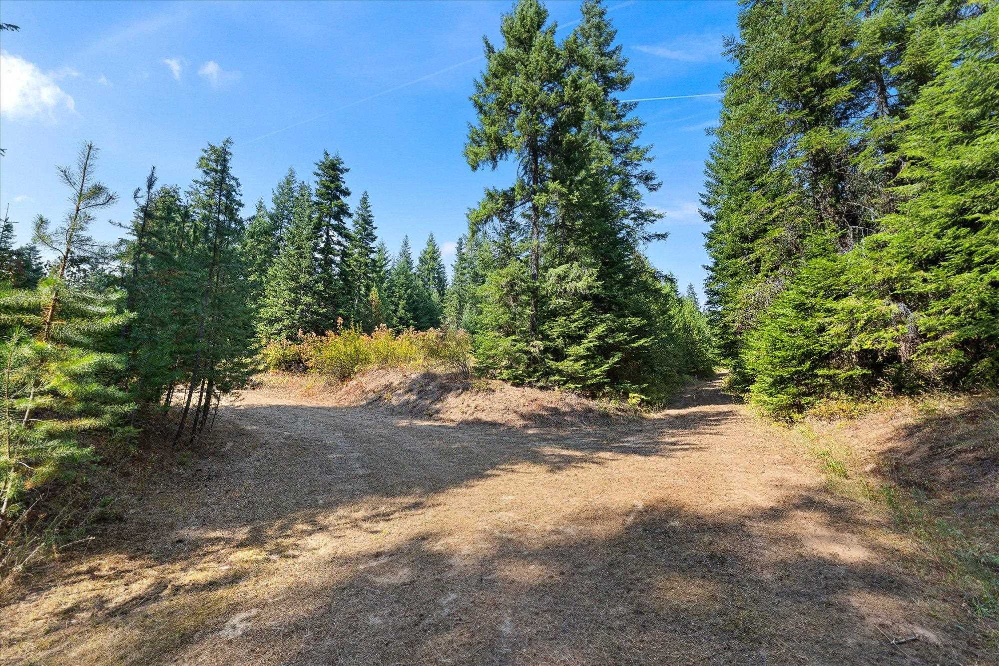 221 Veit Springs Ln - Photo 3