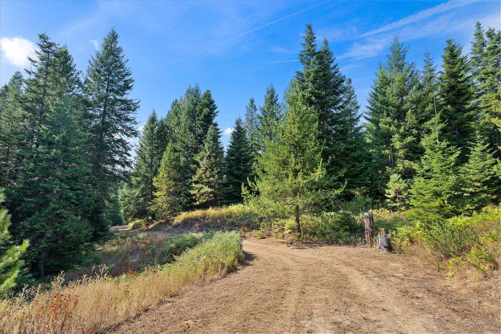 221 Veit Springs Ln - Photo 6