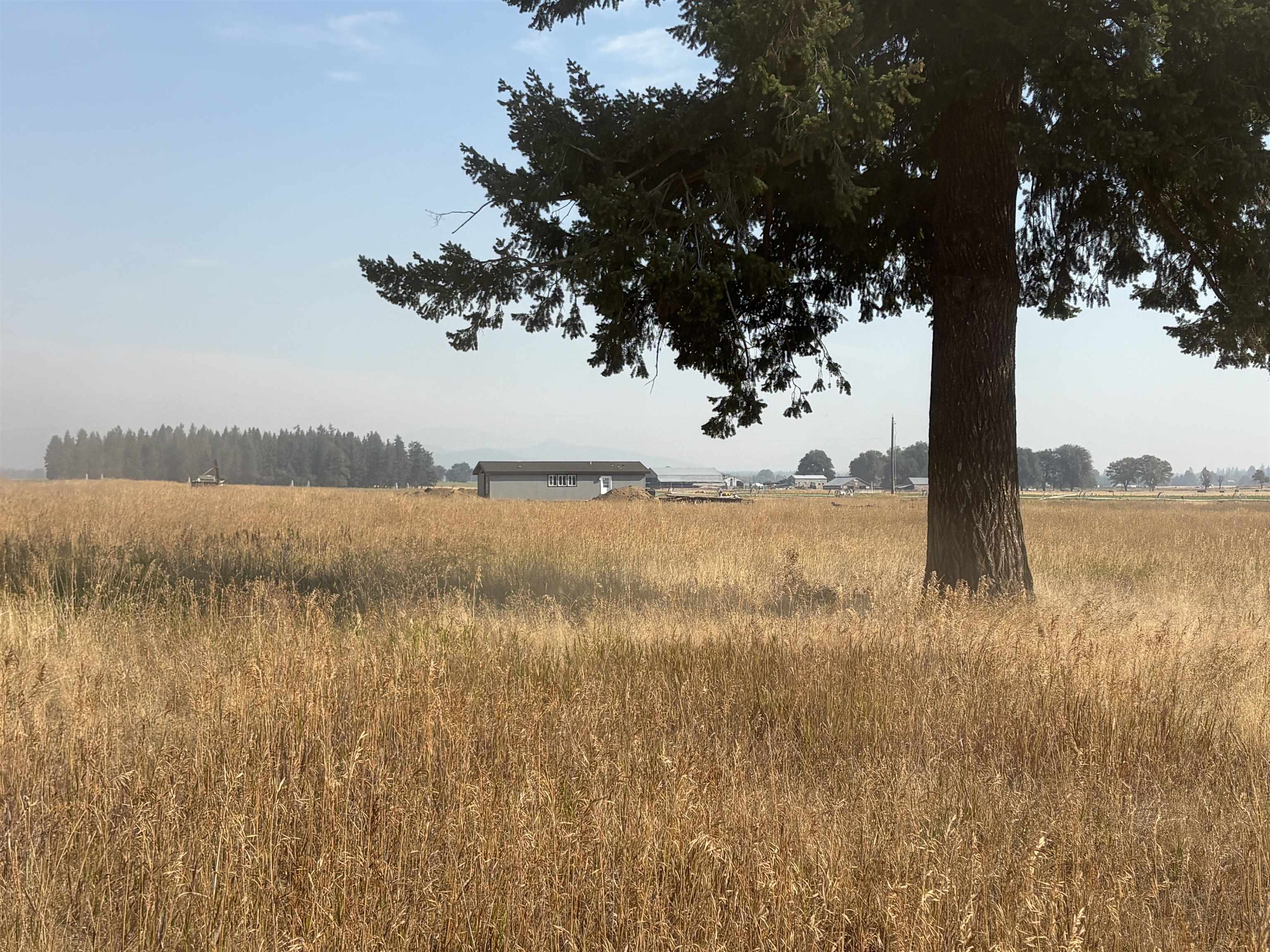 4851 W Enoch Rd - Photo 9