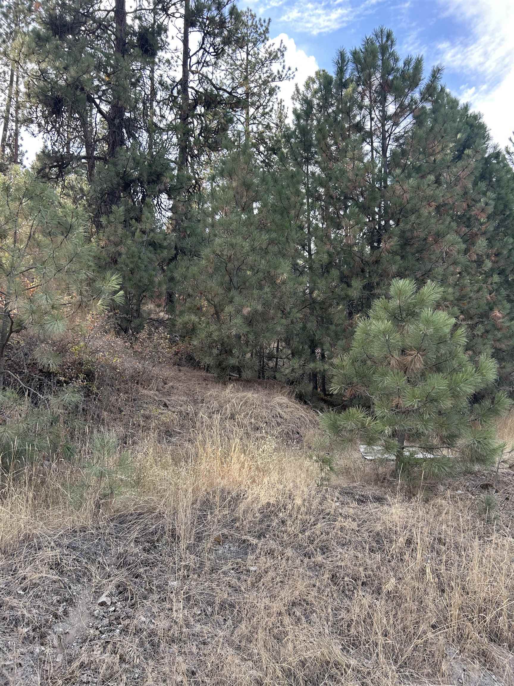 UNK UNK Rd - Photo 3
