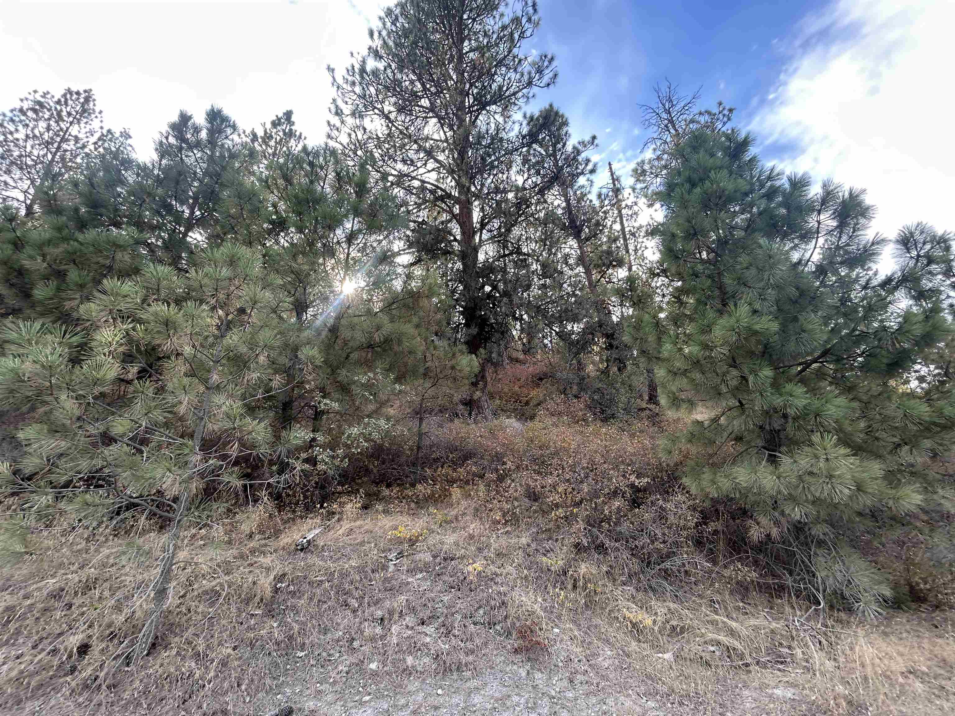 UNK UNK Rd - Photo 2
