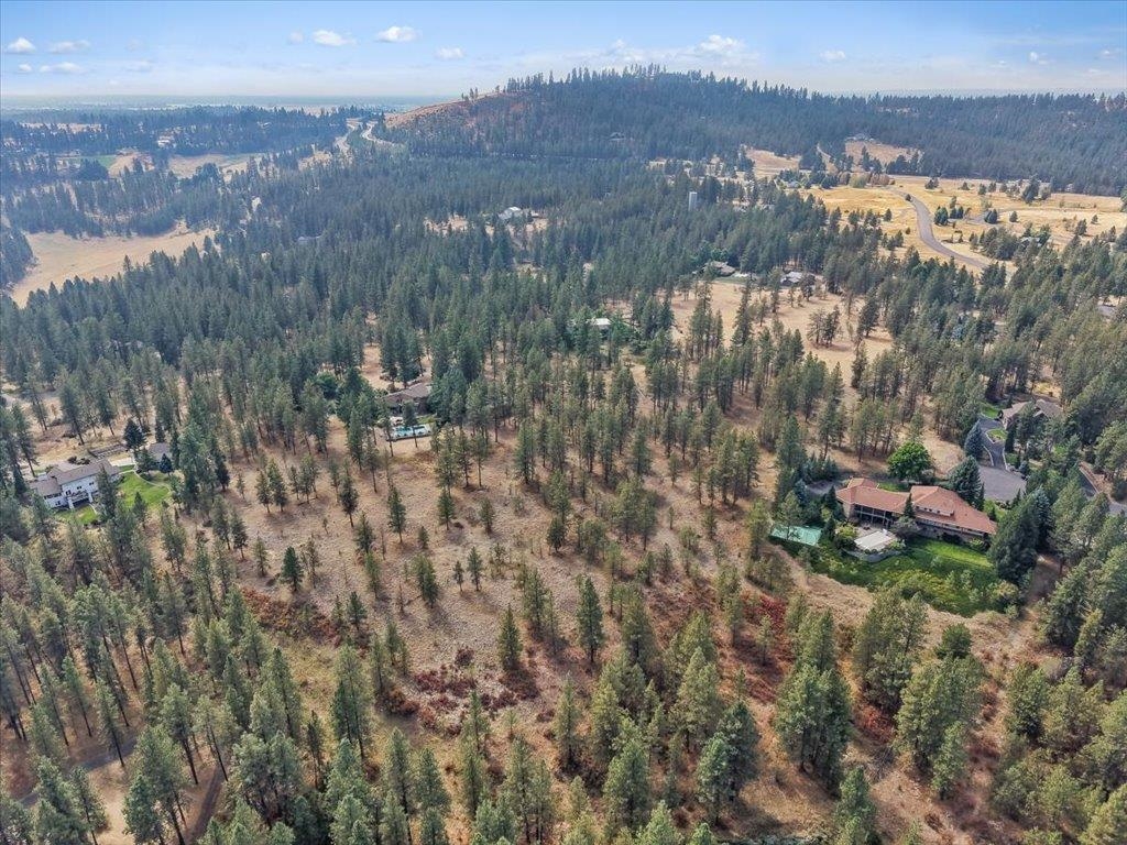 13524 S Greyhawk Ln - Photo 8