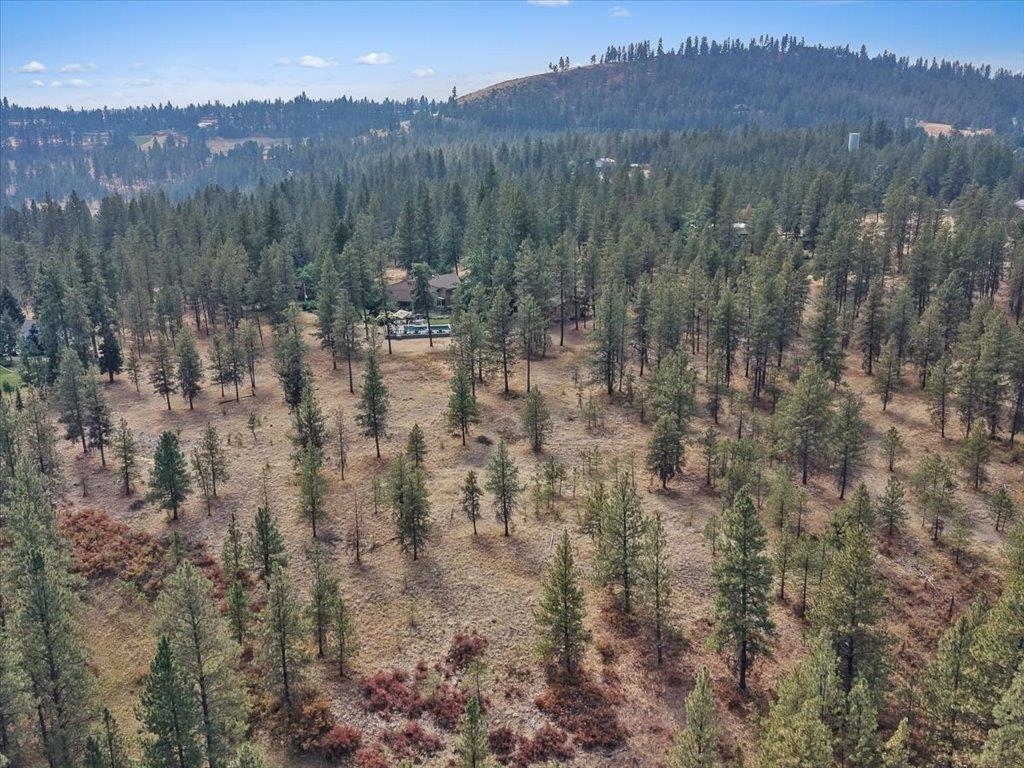 13524 S Greyhawk Ln - Photo 9
