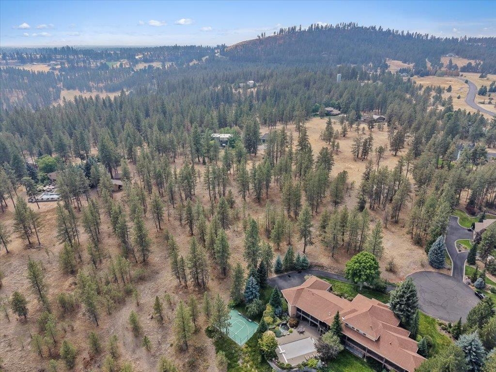 13524 S Greyhawk Ln - Photo 10