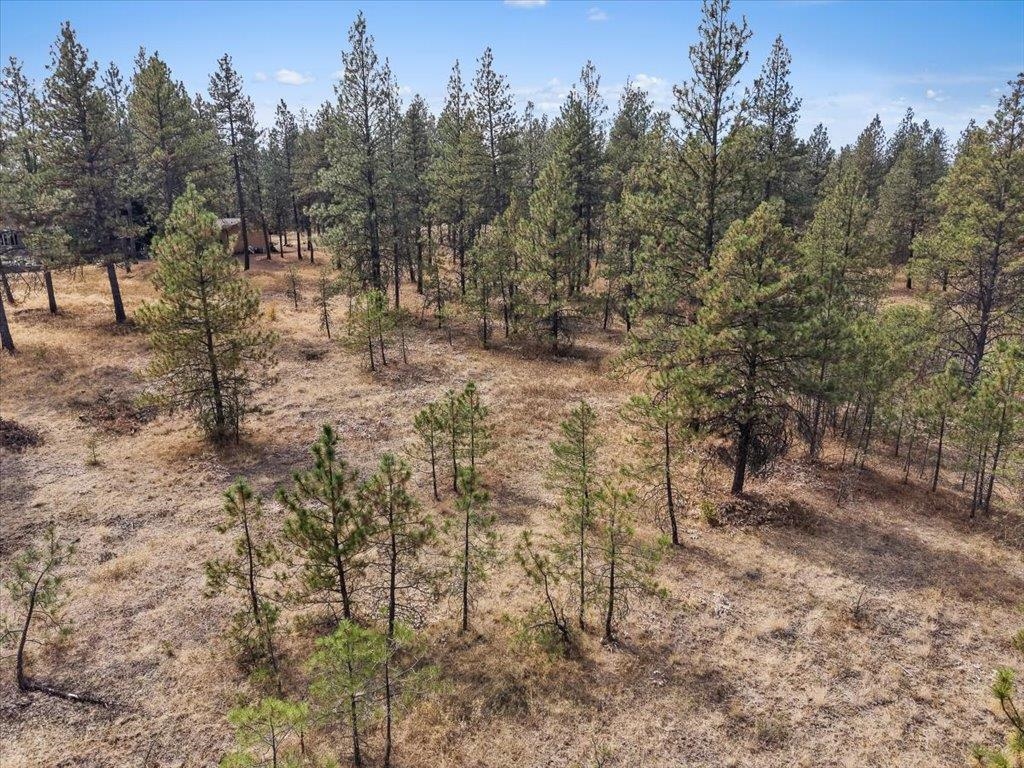 13524 S Greyhawk Ln - Photo 12