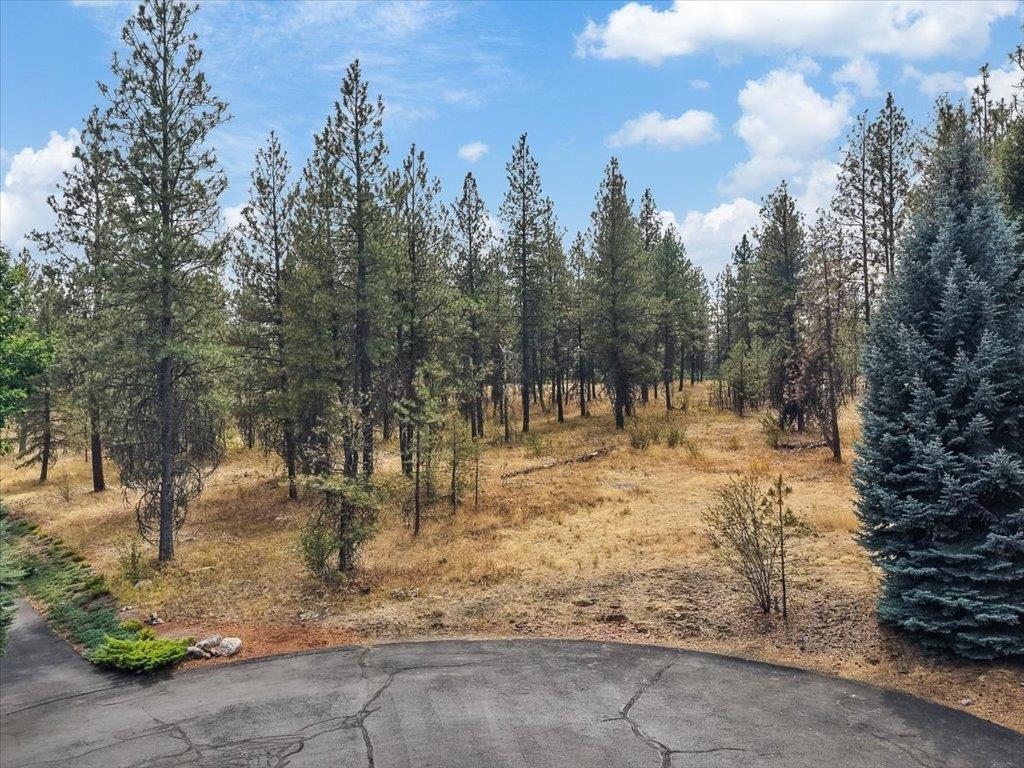 13524 S Greyhawk Ln - Photo 15