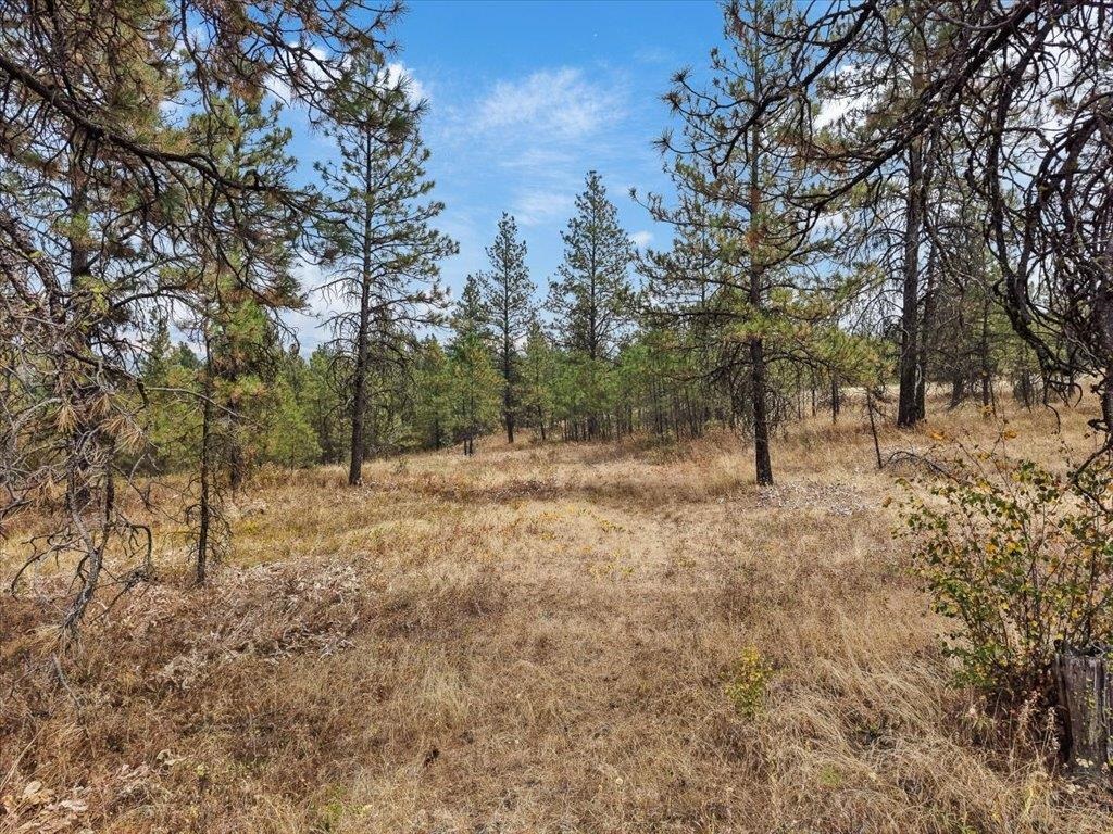 13524 S Greyhawk Ln - Photo 18