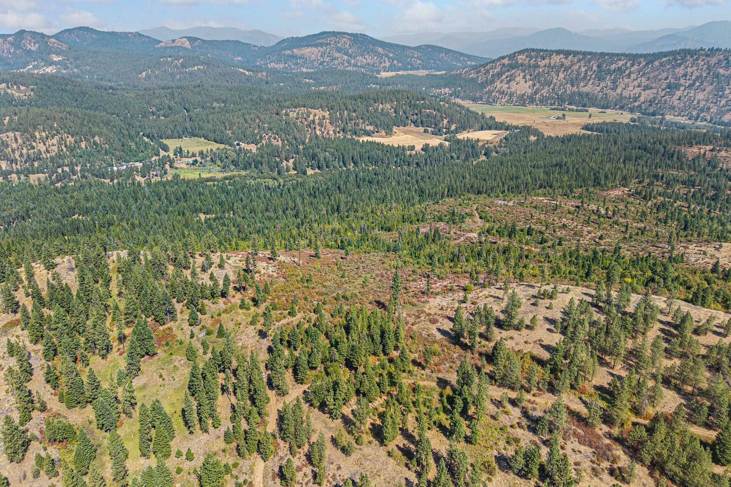 NKA Hoag Rd - Photo 2