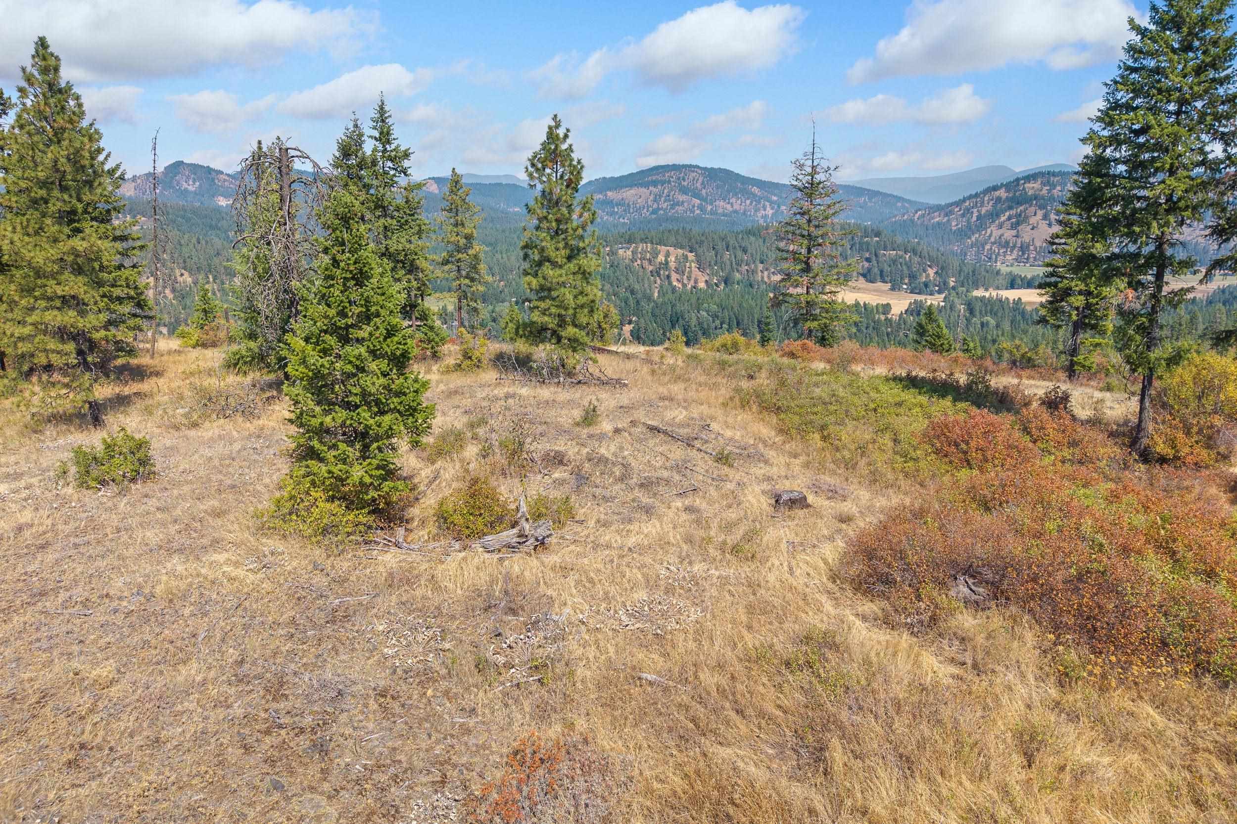 NKA Hoag Rd - Photo 3