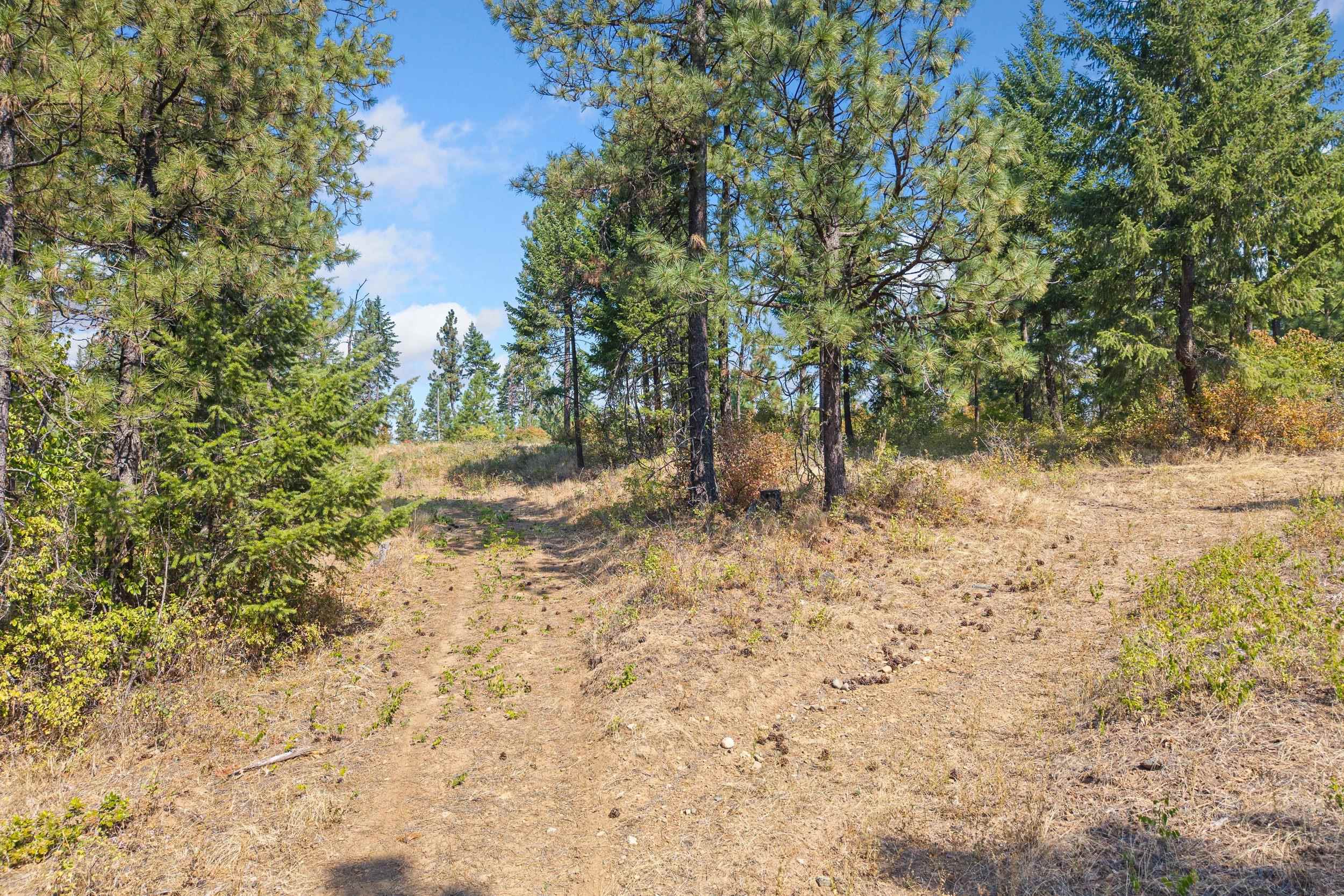 NKA Hoag Rd - Photo 7