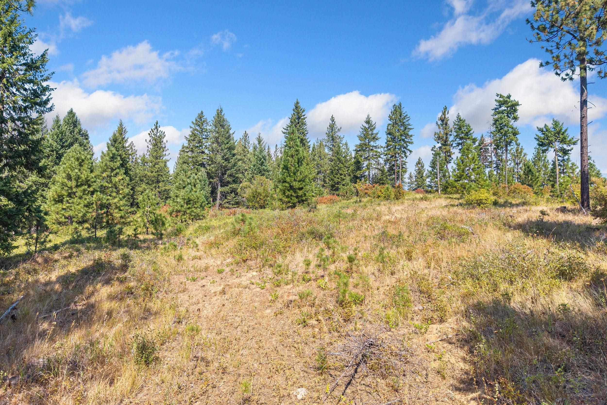NKA Hoag Rd - Photo 8
