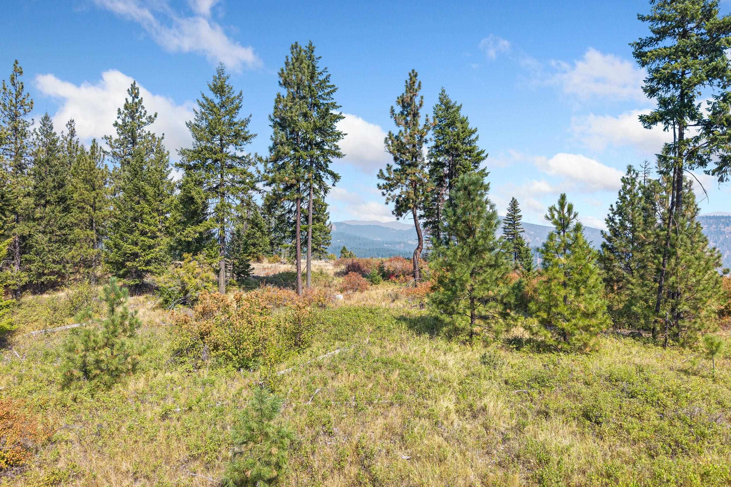 NKA Hoag Rd - Photo 9
