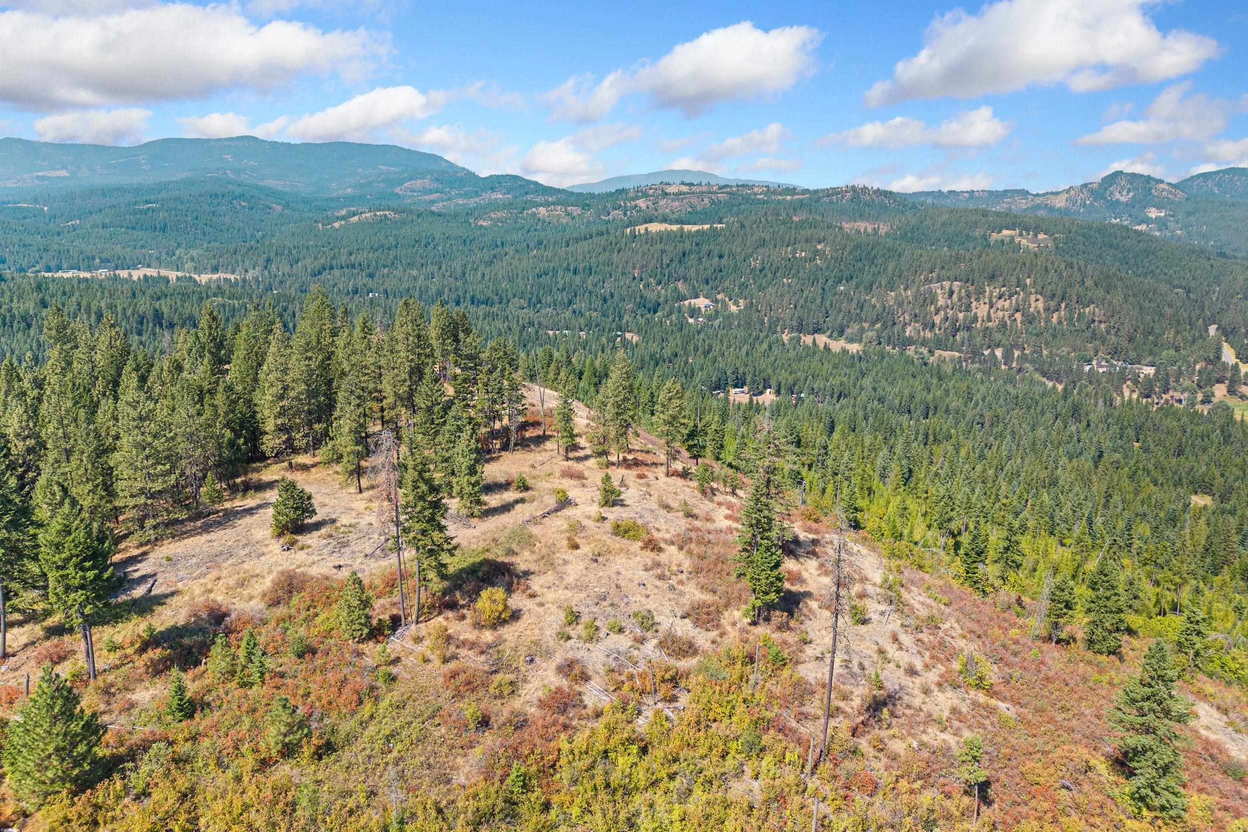 NKA Hoag Rd - Photo 10