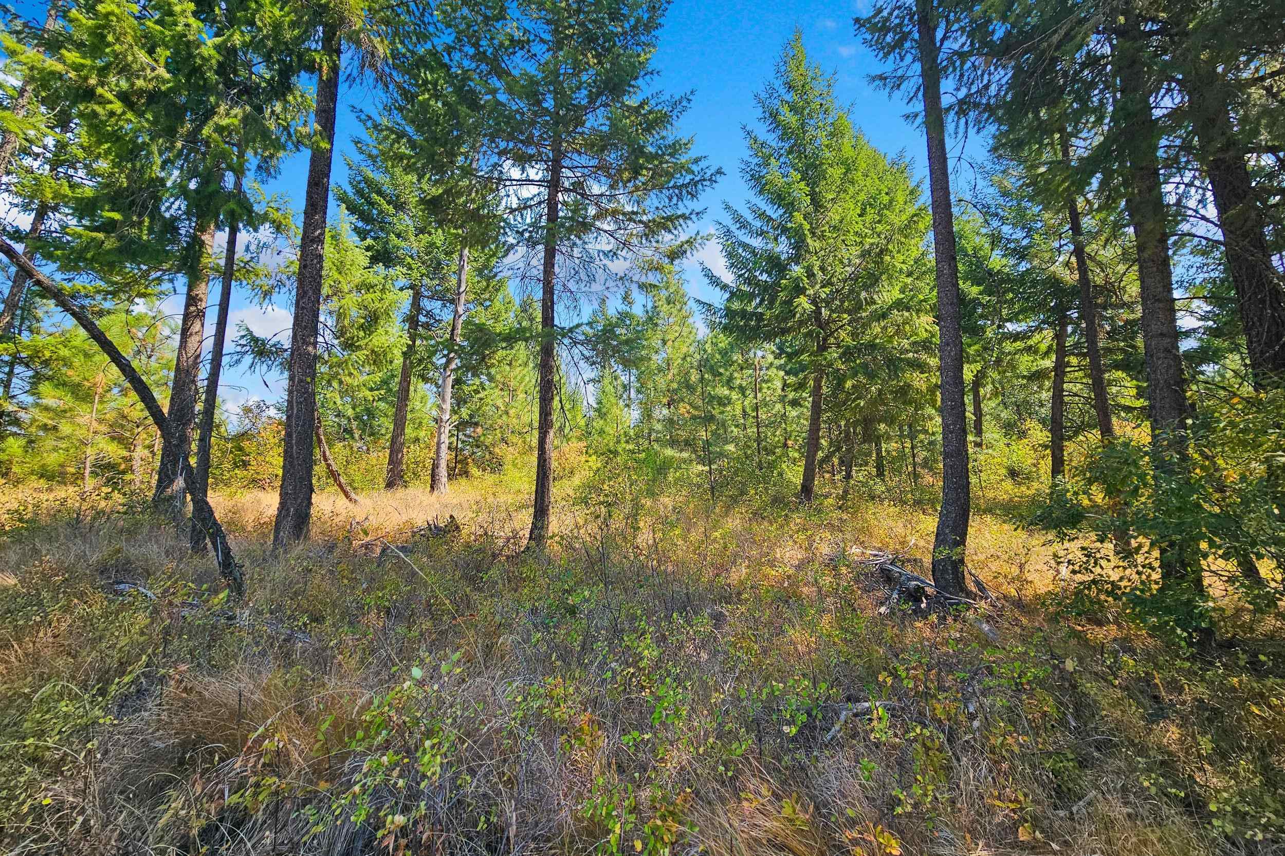 NKA Hoag Rd - Photo 11