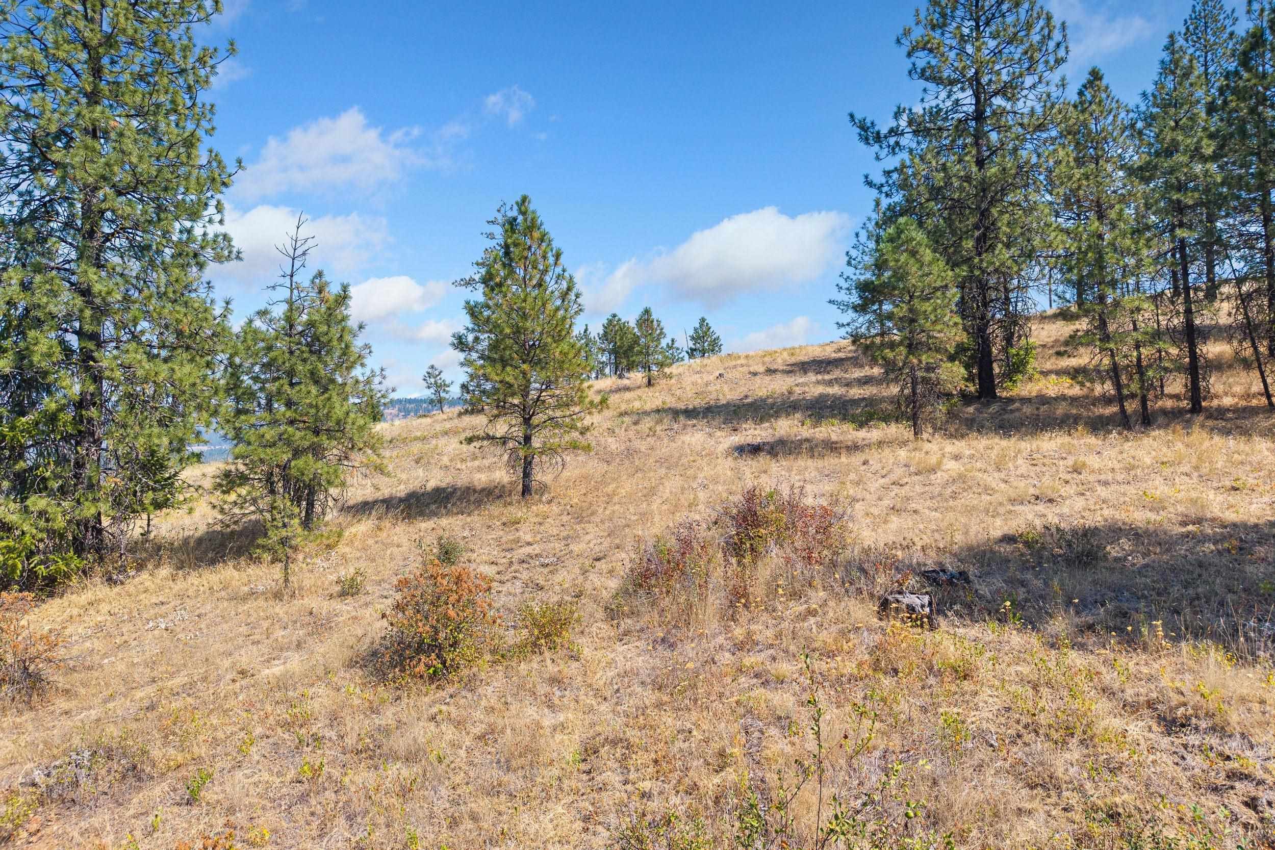 NKA Hoag Rd - Photo 15