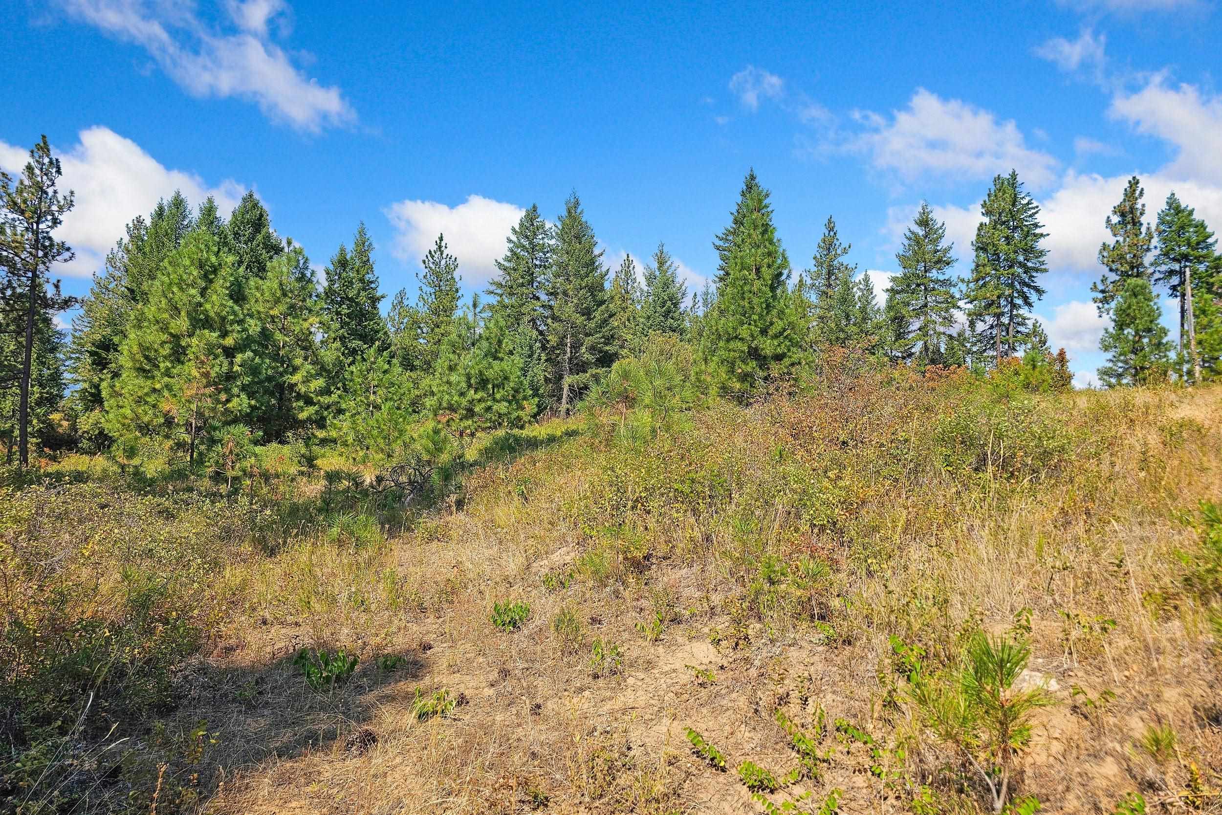 NKA Hoag Rd - Photo 16