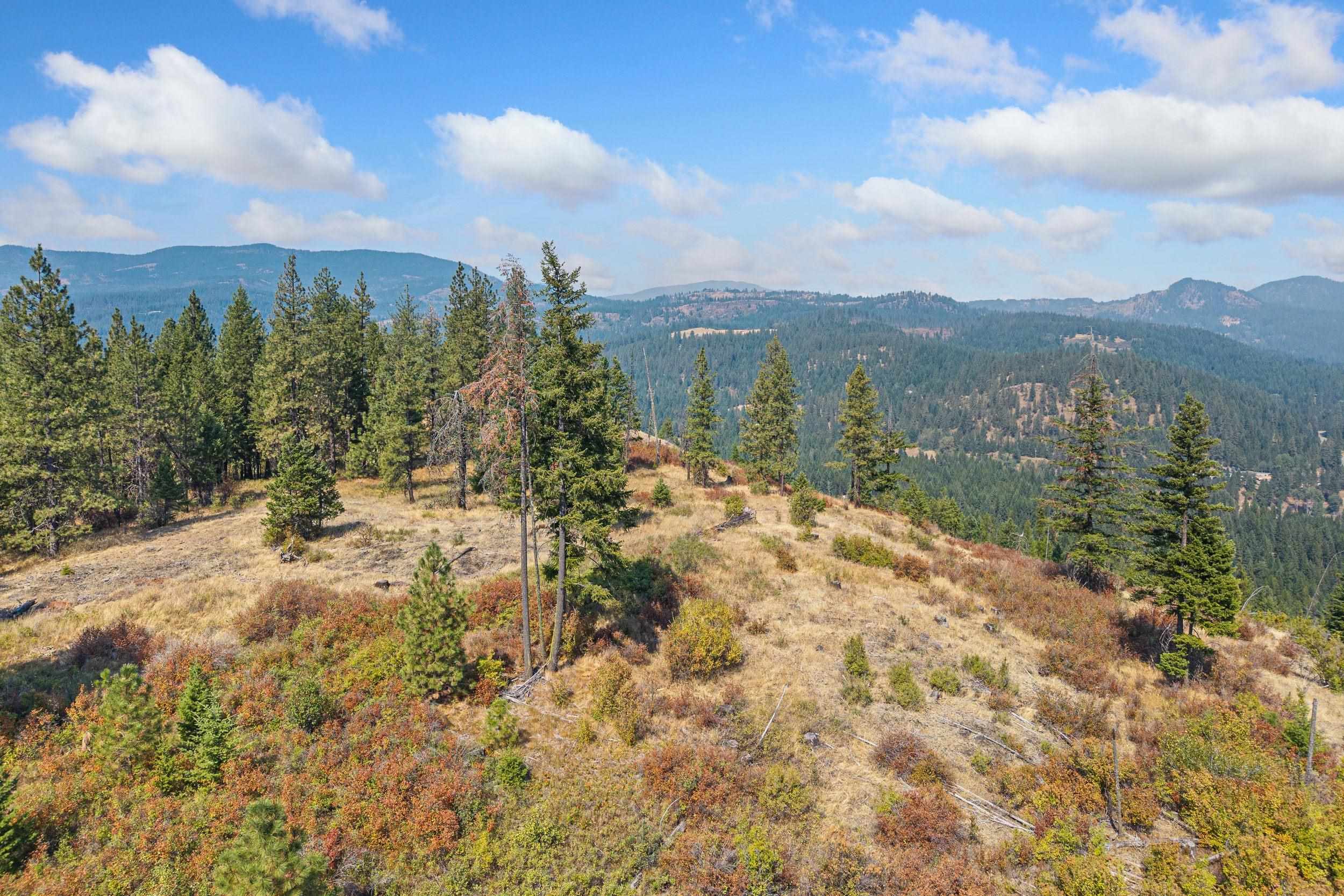 NKA Hoag Rd - Photo 17
