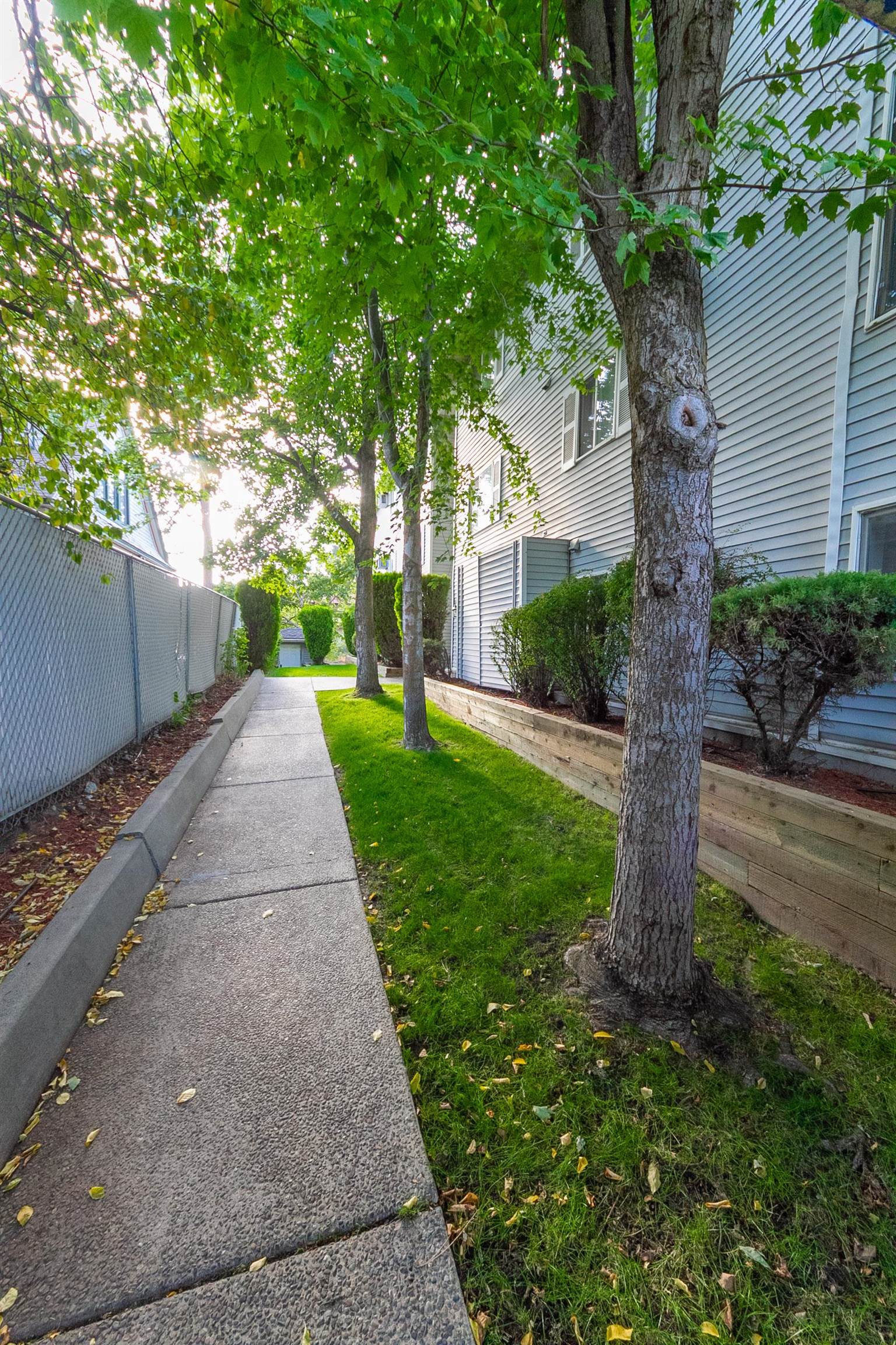 912 W LINCOLN Pl - Photo 3