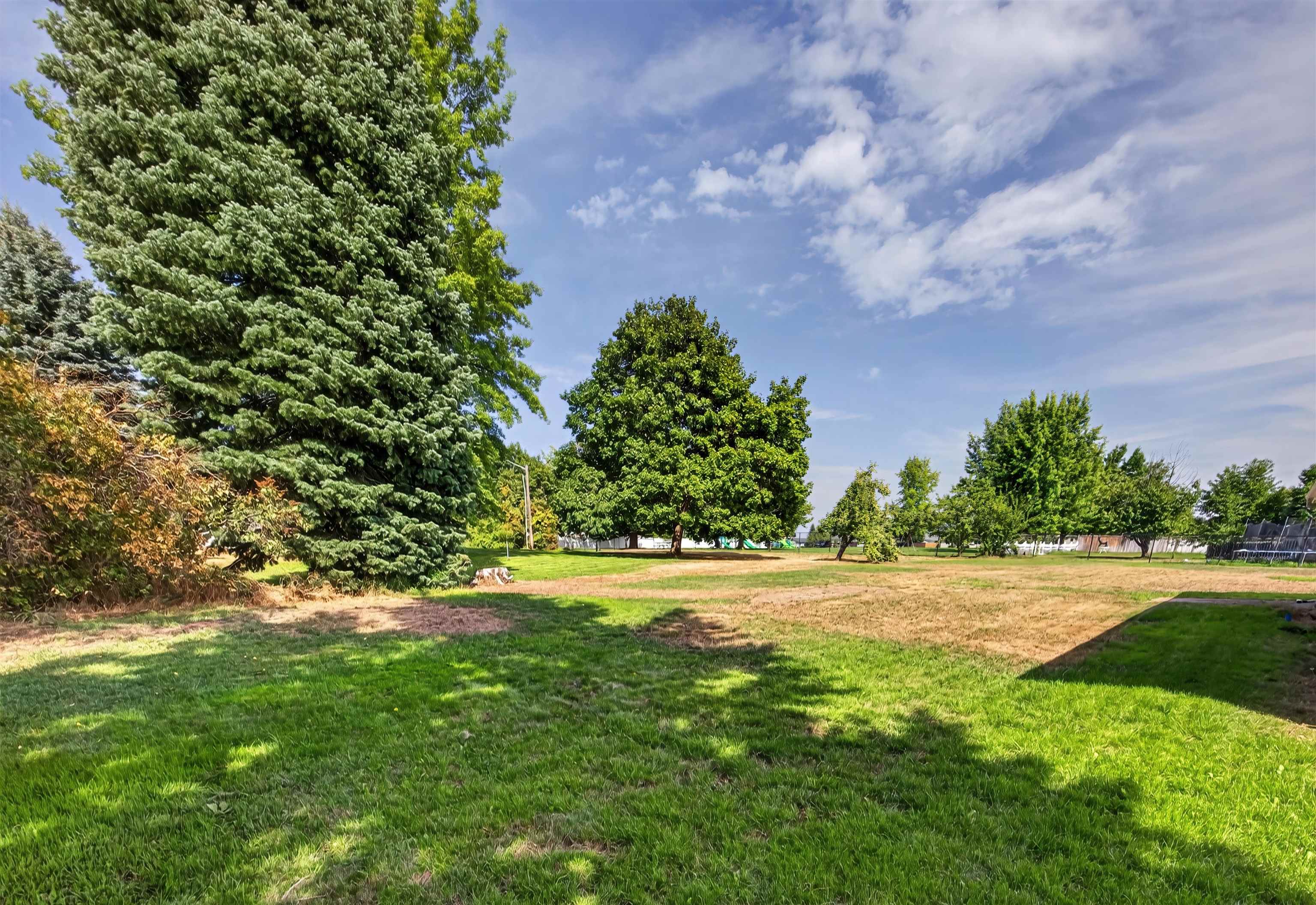 1517 E Third St - Photo 35