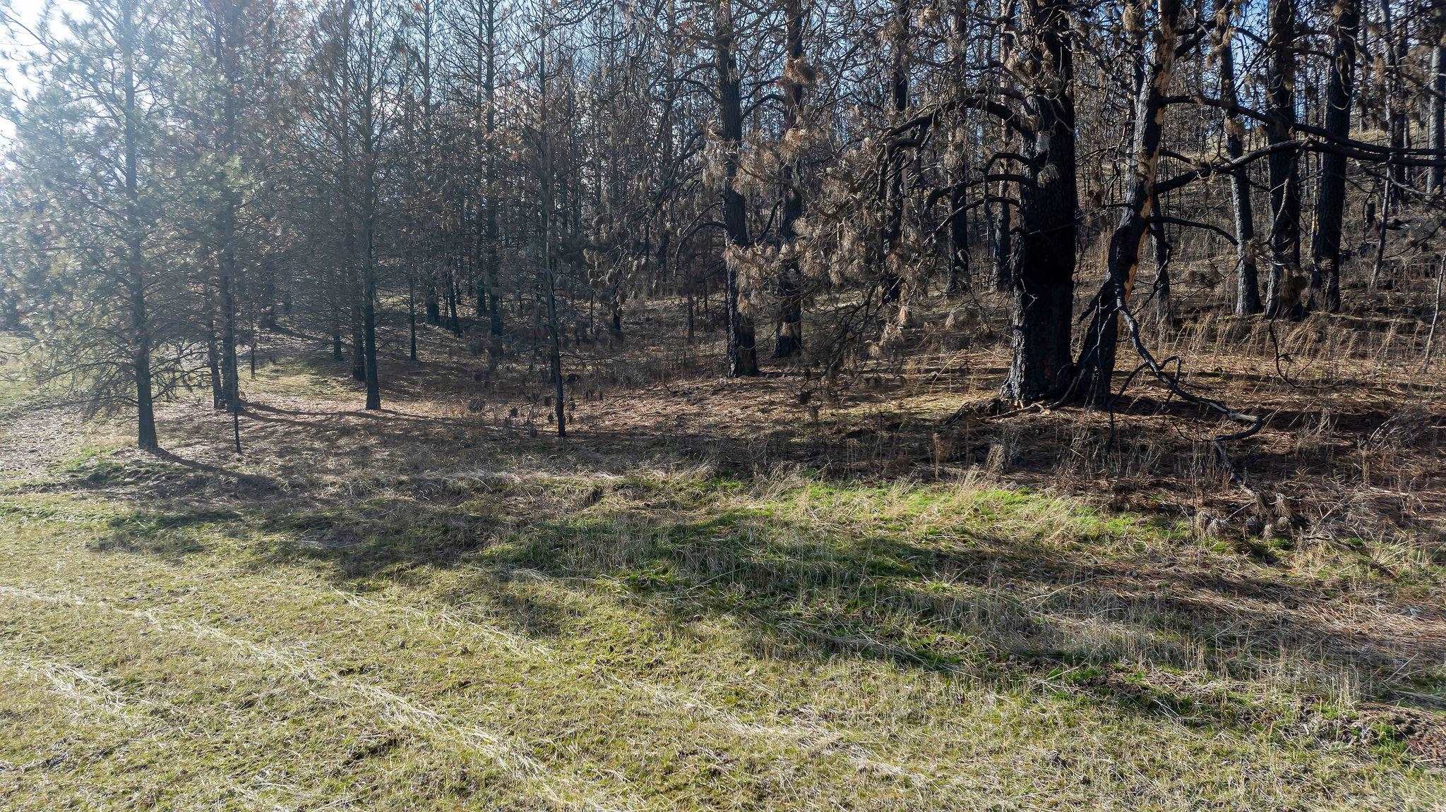 63XX S Marshall Rd - Photo 23