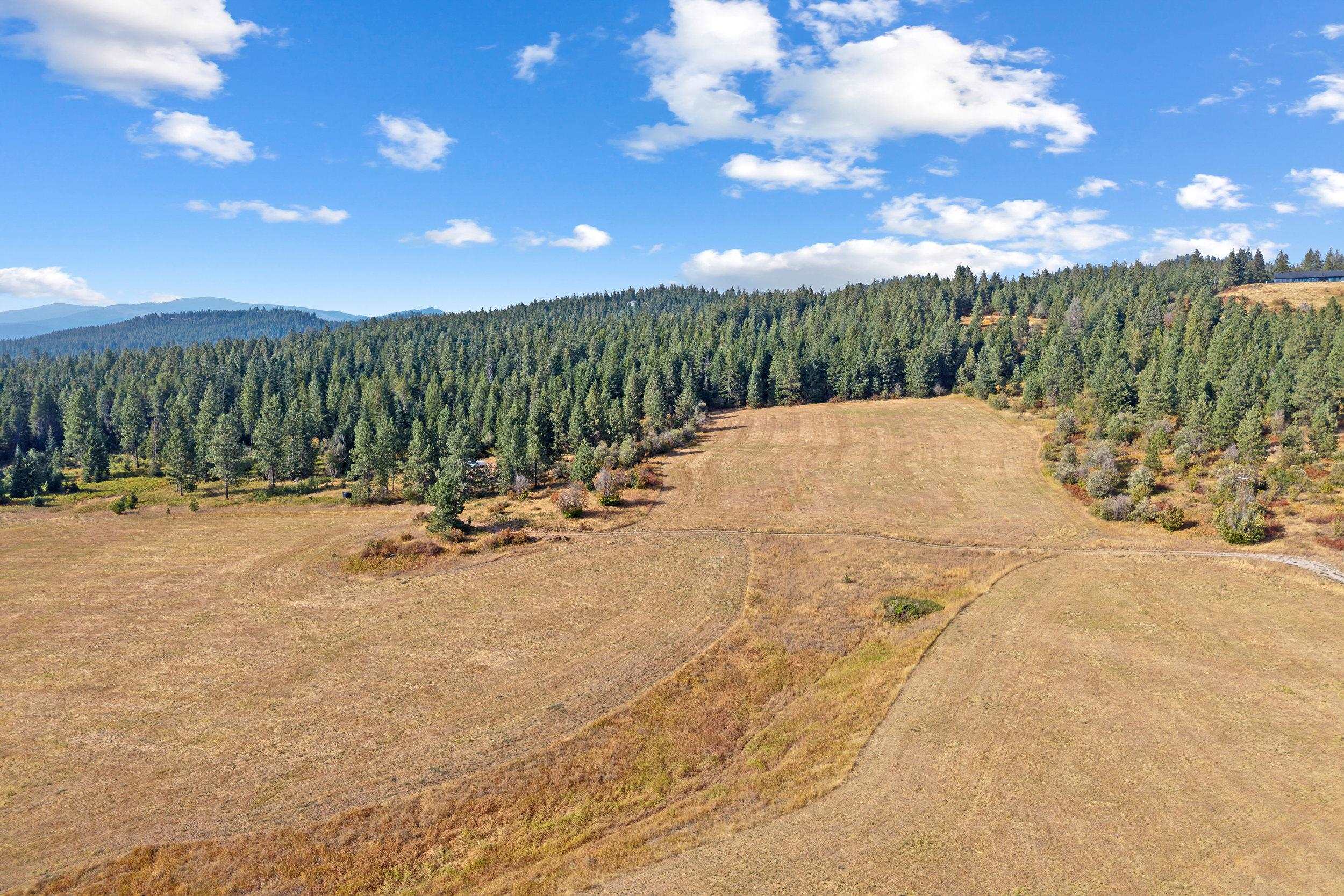NKN-B Kirkpatrick Rd - Photo 4
